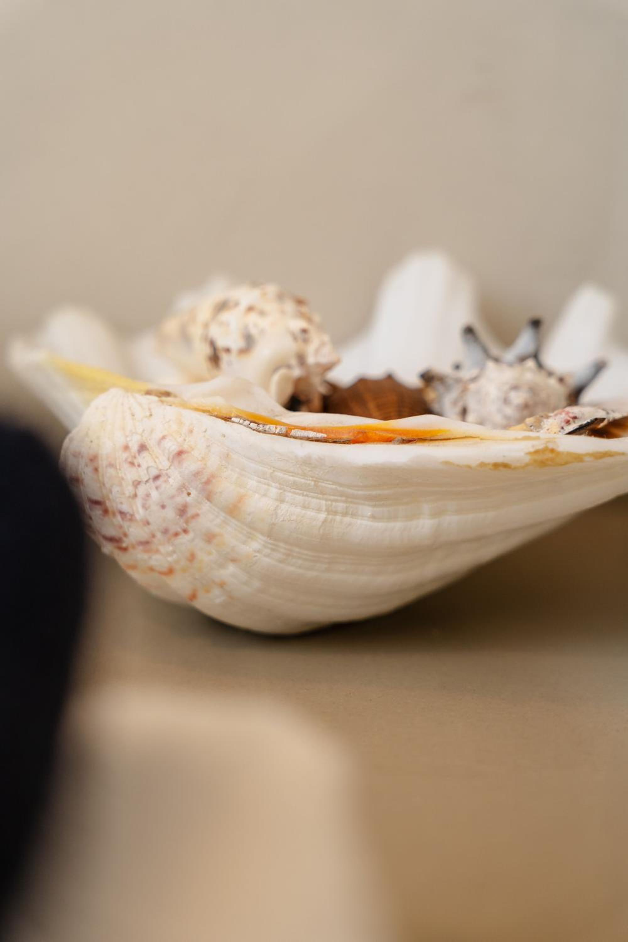 Naxos Joya Apartment photo 2