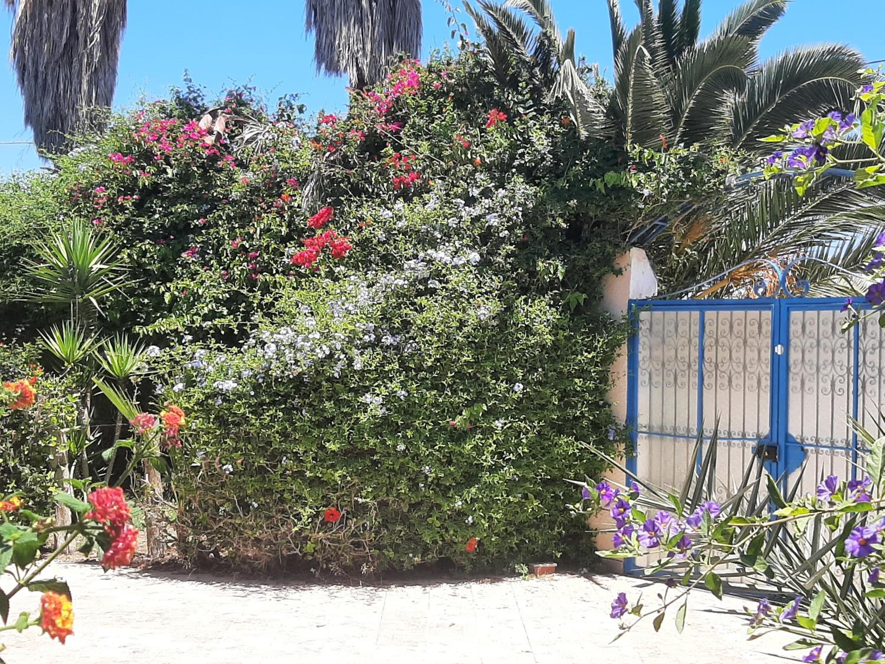 Villa à Chott-Meriem, Sousse, 400 m de la plage