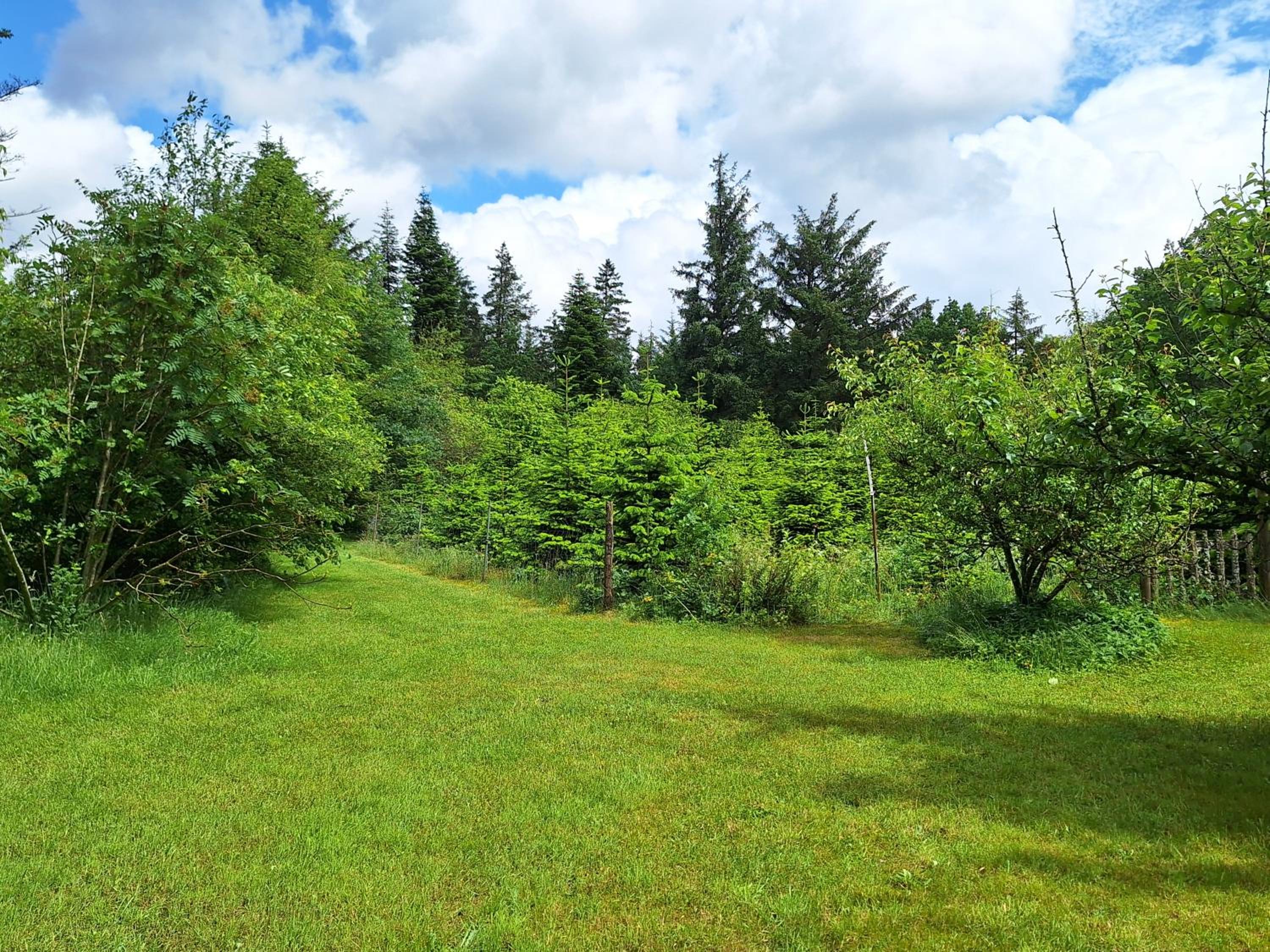 Rødsten Gæstegård