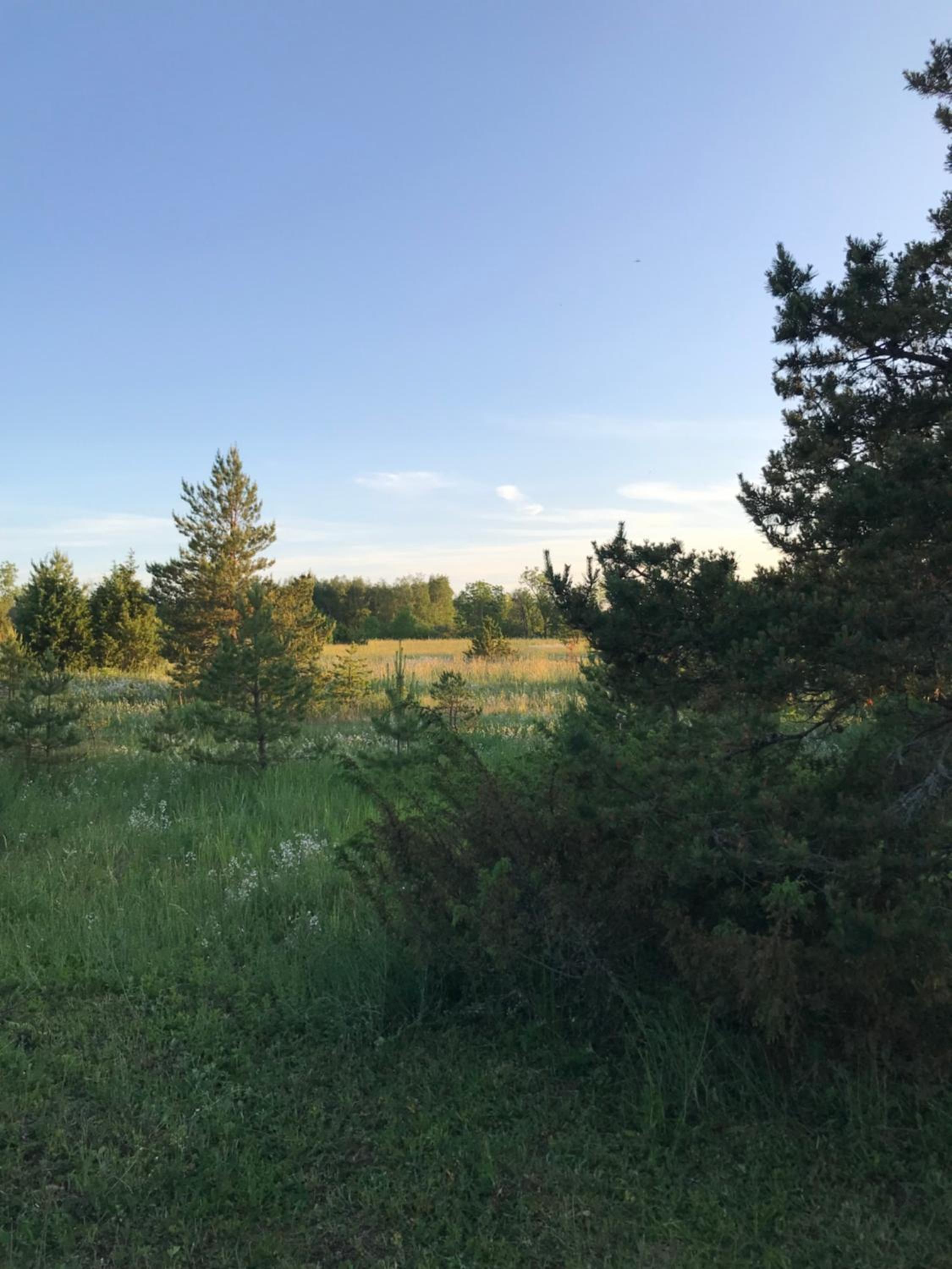 Ronga saunamaja