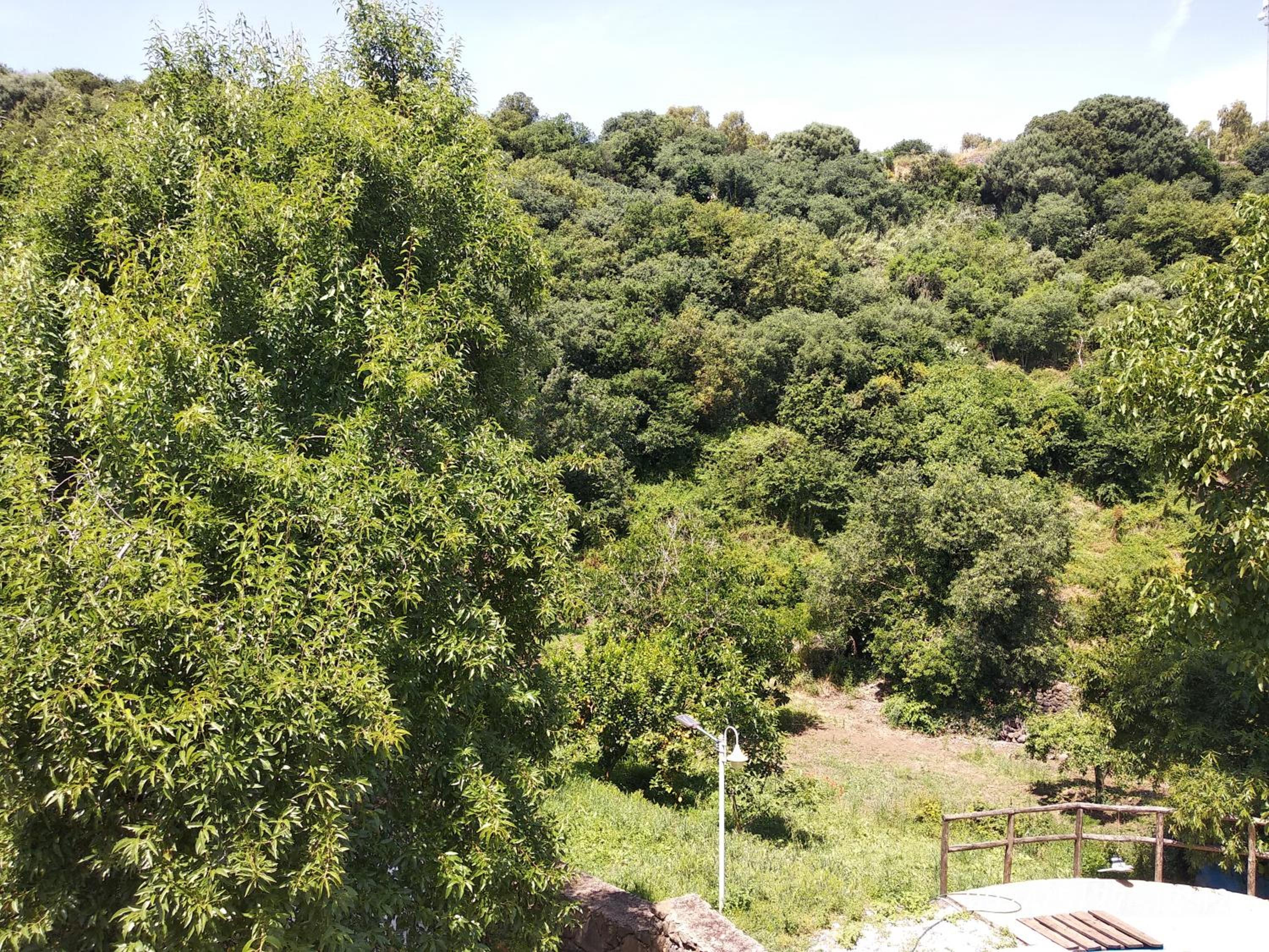 A casa di Pietro