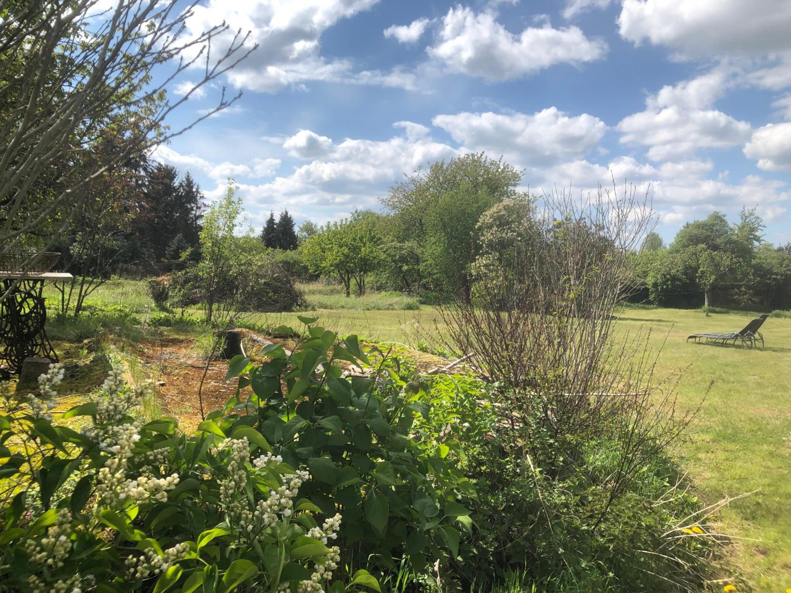 Gartenblick im Schwalbennest