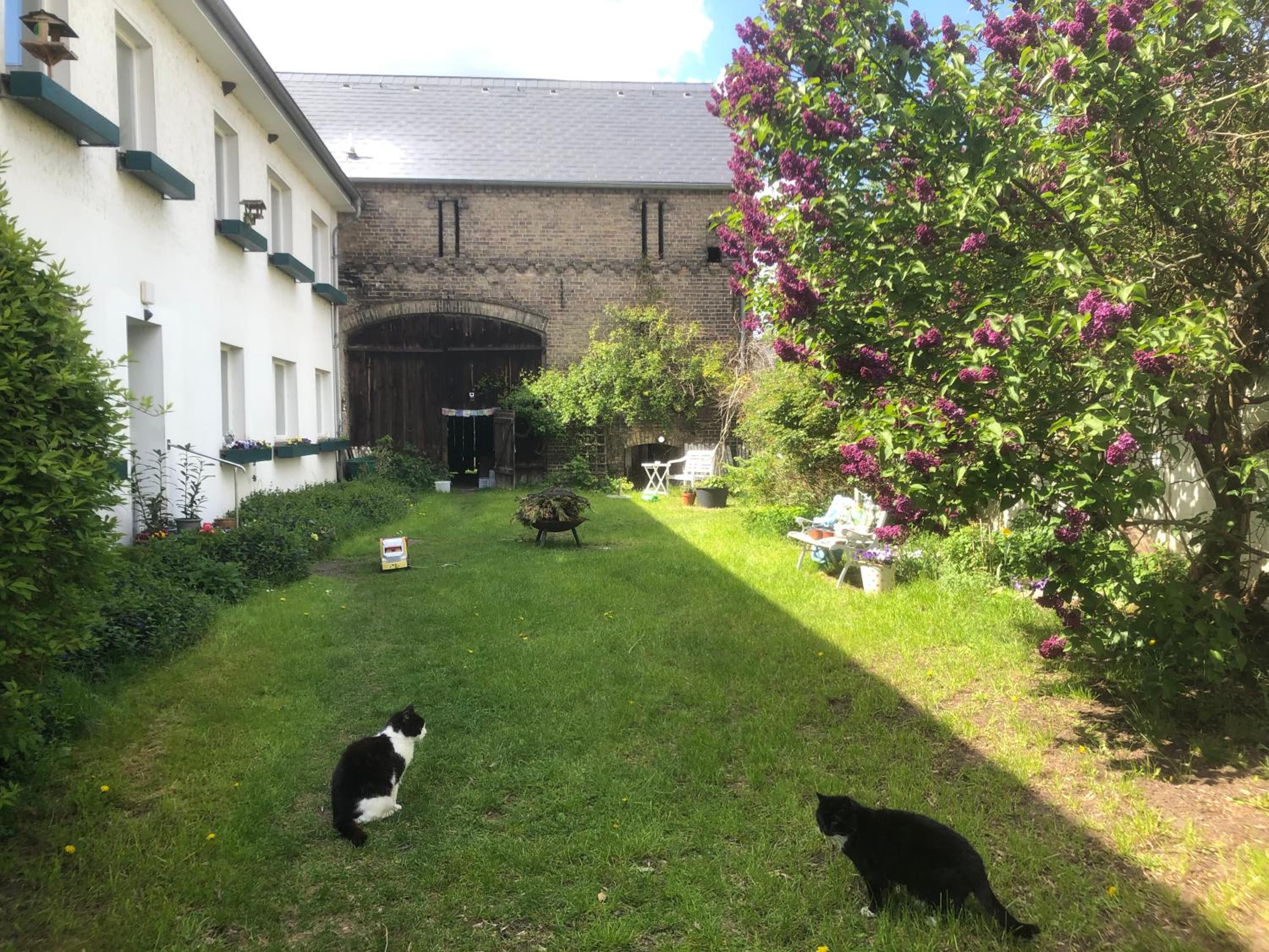 Gartenblick im Schwalbennest