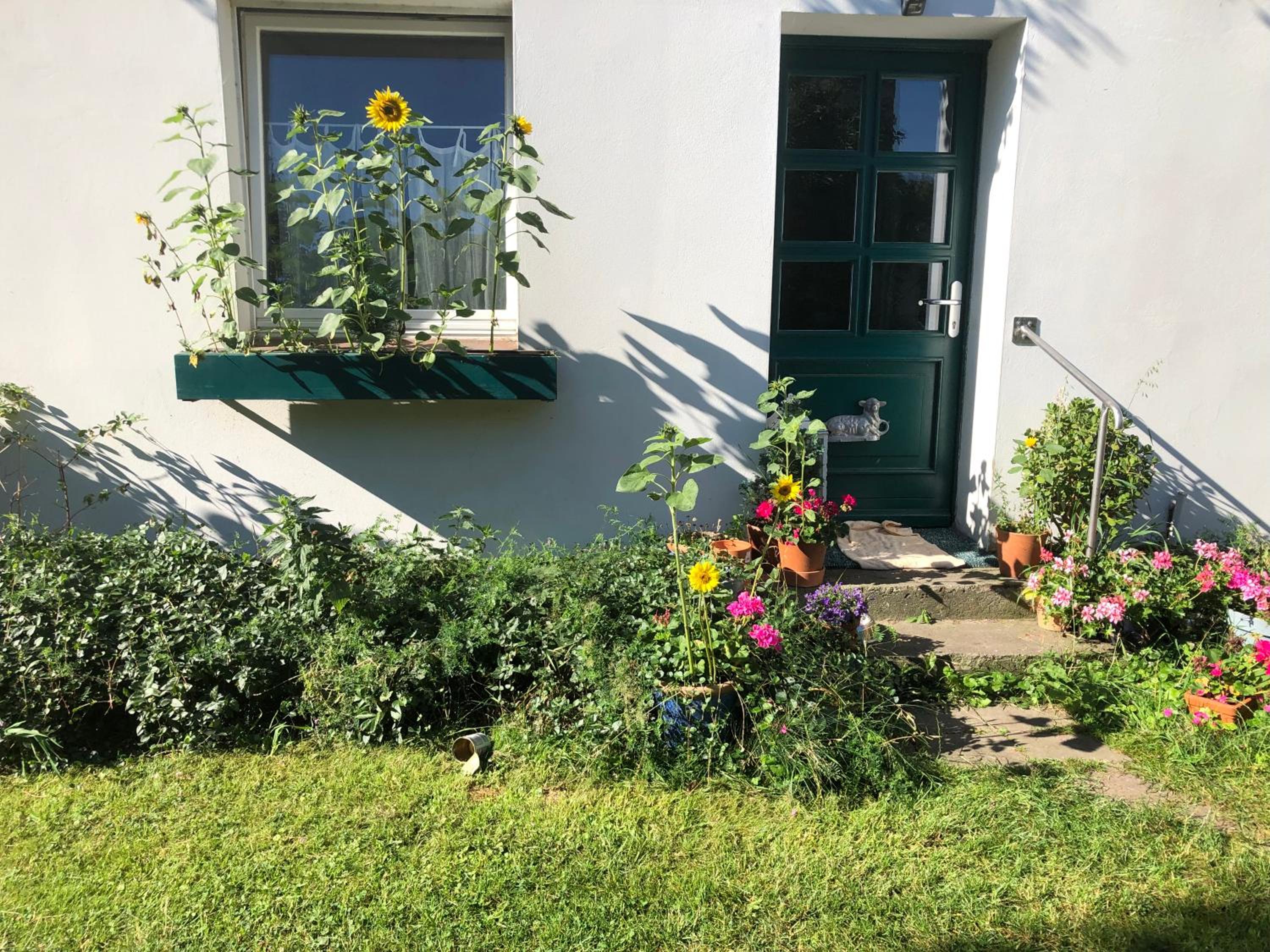 Gartenblick im Schwalbennest