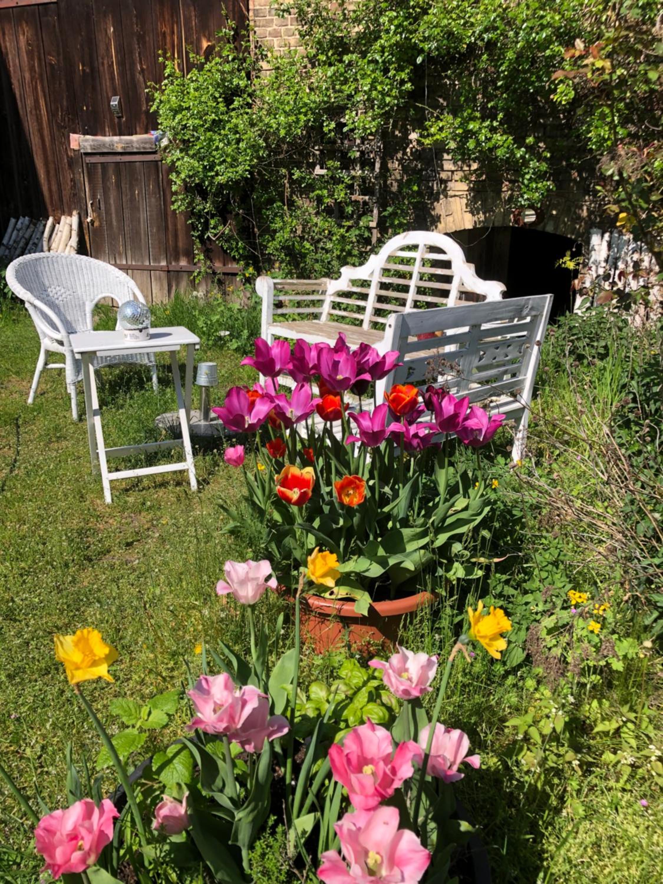 Gartenblick im Schwalbennest