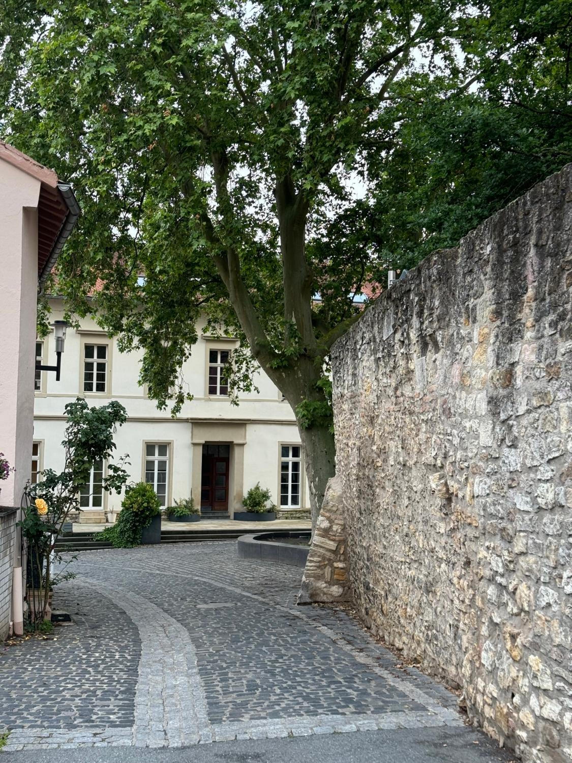 Rheinblick-Oase Oppenheim