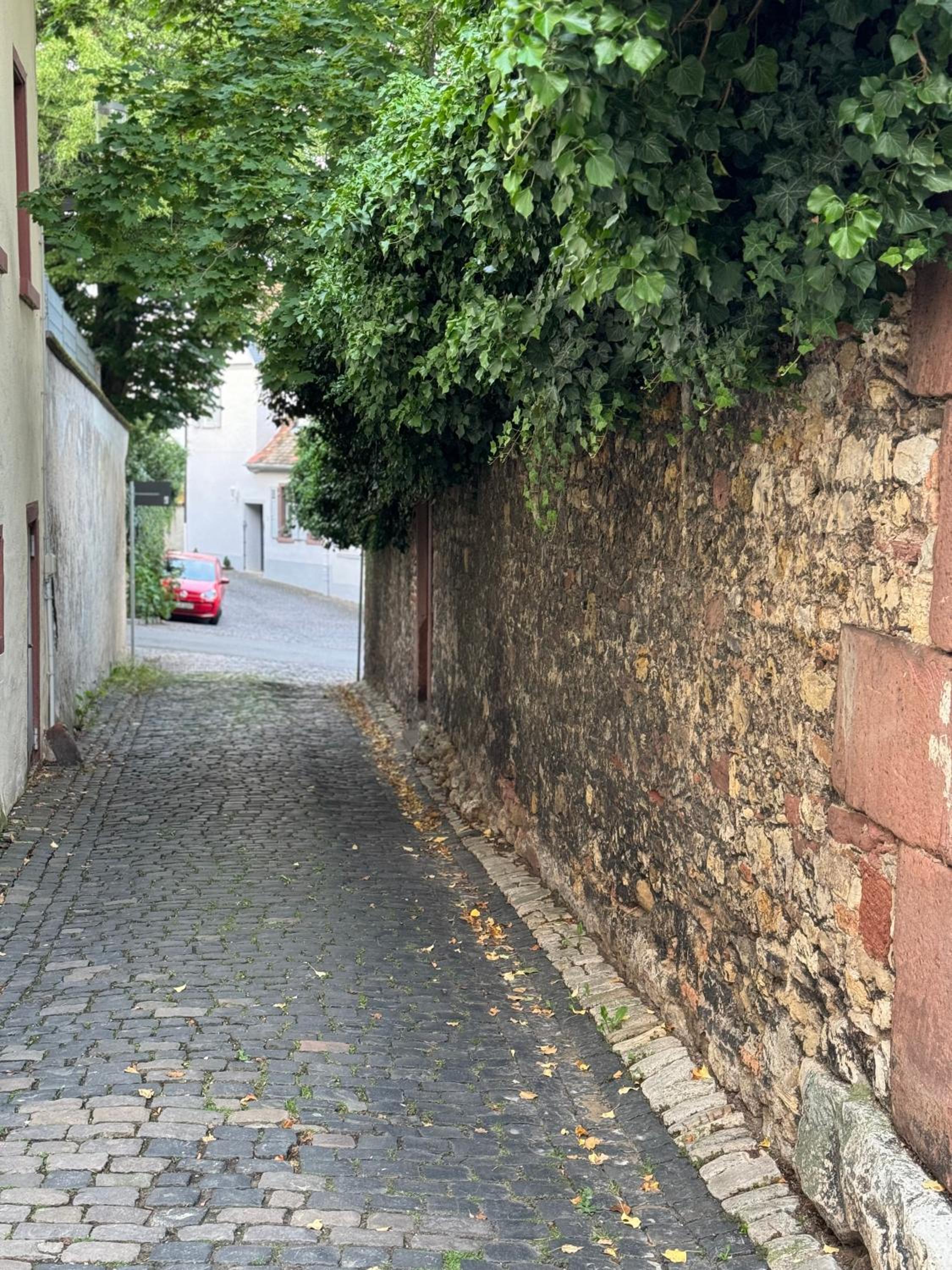 Rheinblick-Oase Oppenheim