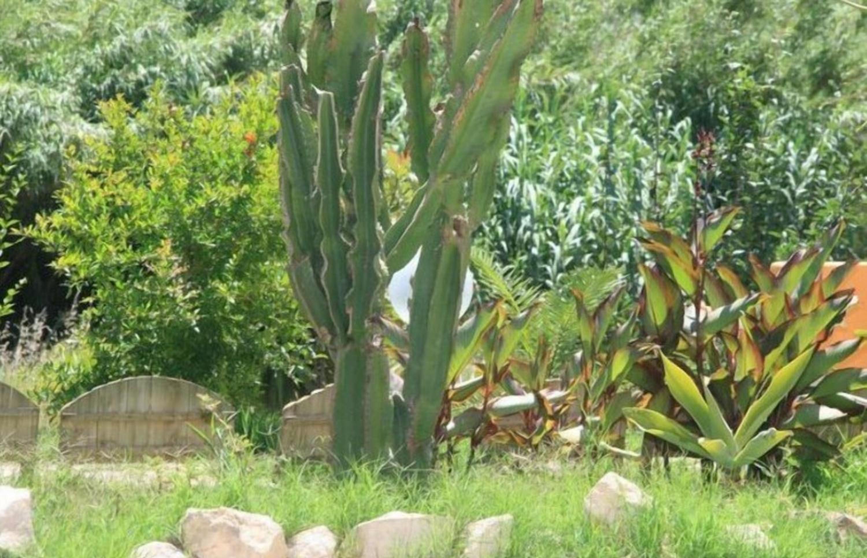Sa Funtana