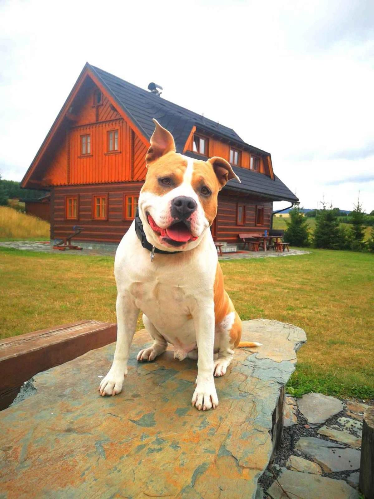 Holiday home in Jilove u Drzkova 1736