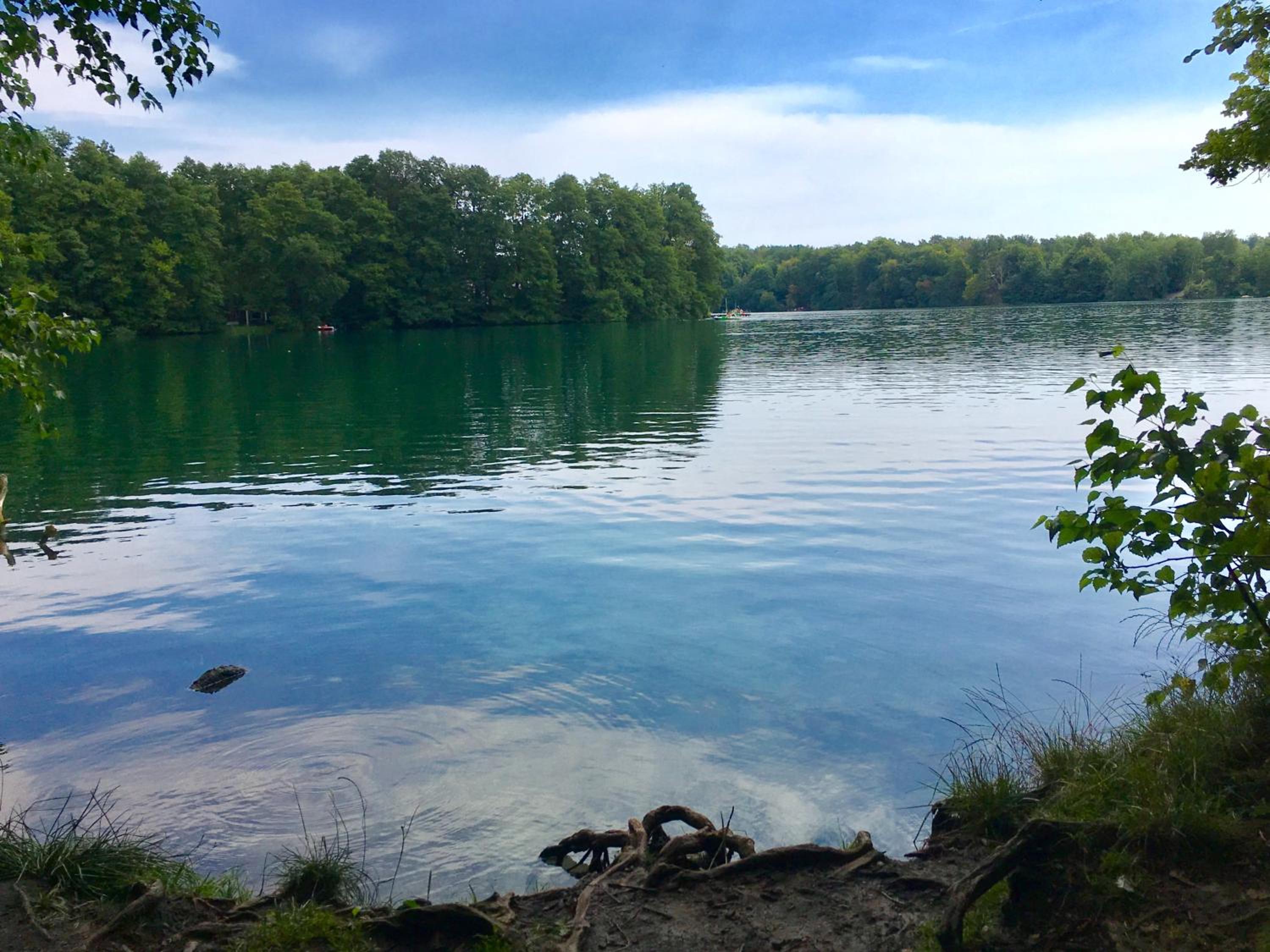 Gartenblick im Schwalbennest