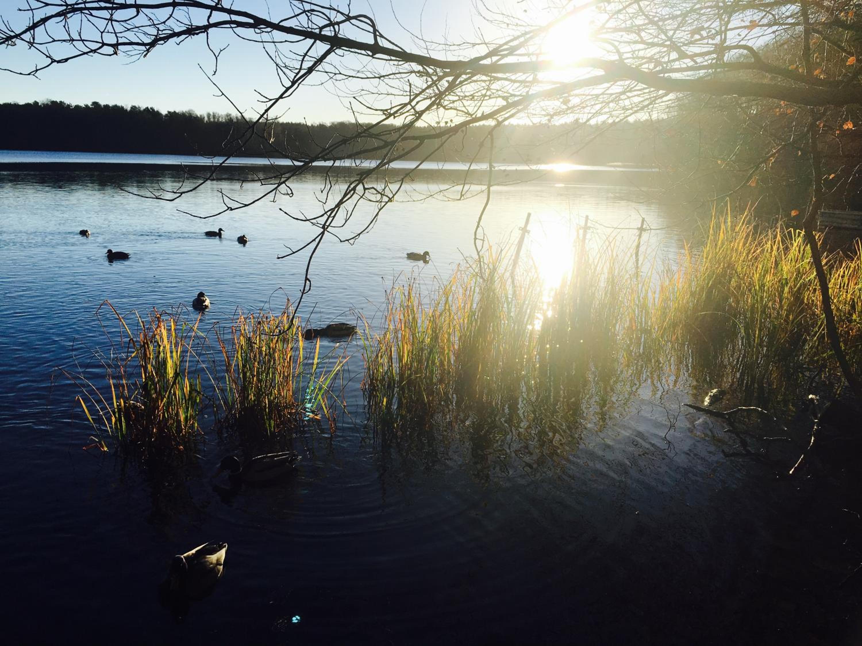 Gartenblick im Schwalbennest