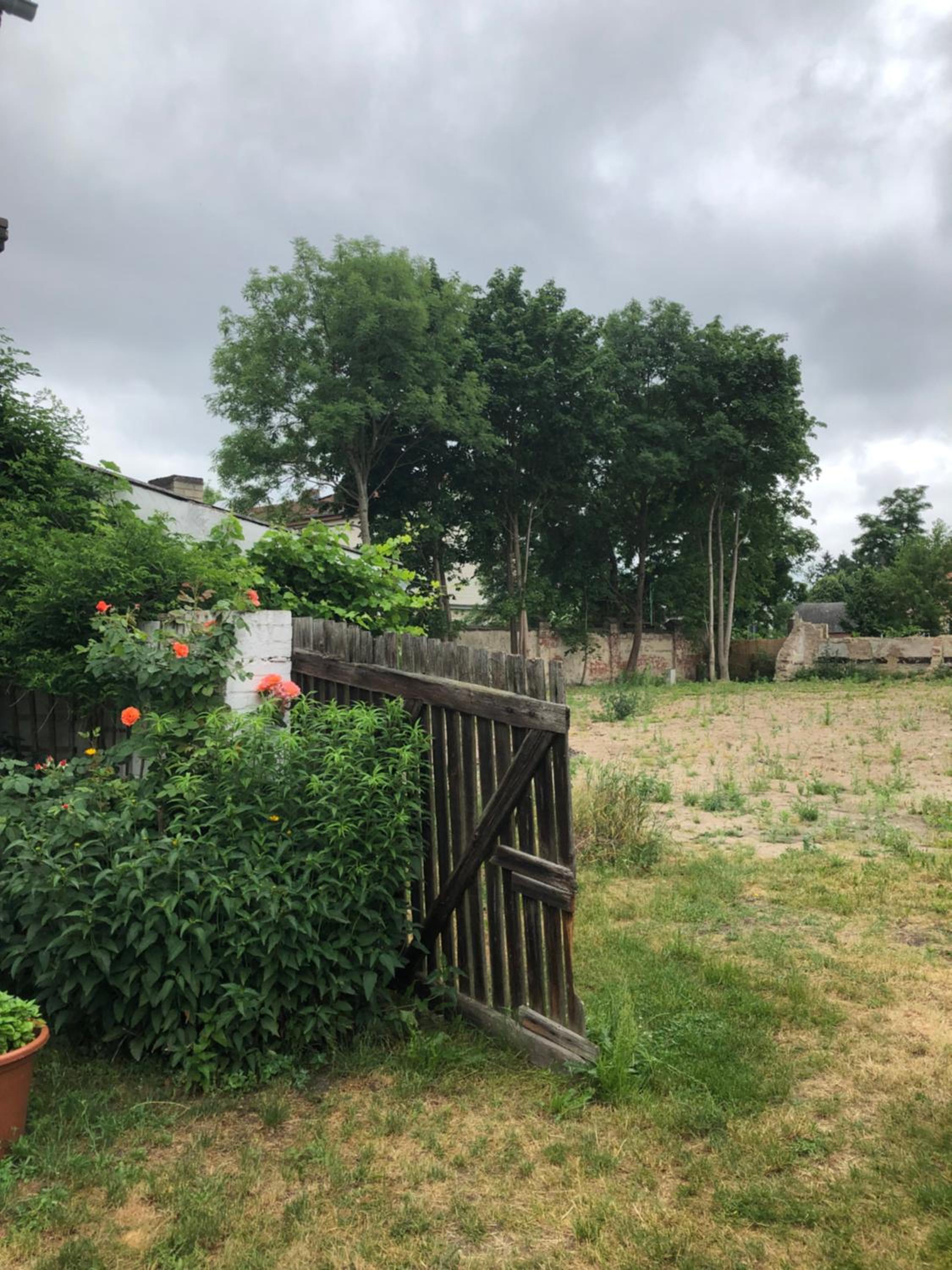Gartenblick im Schwalbennest