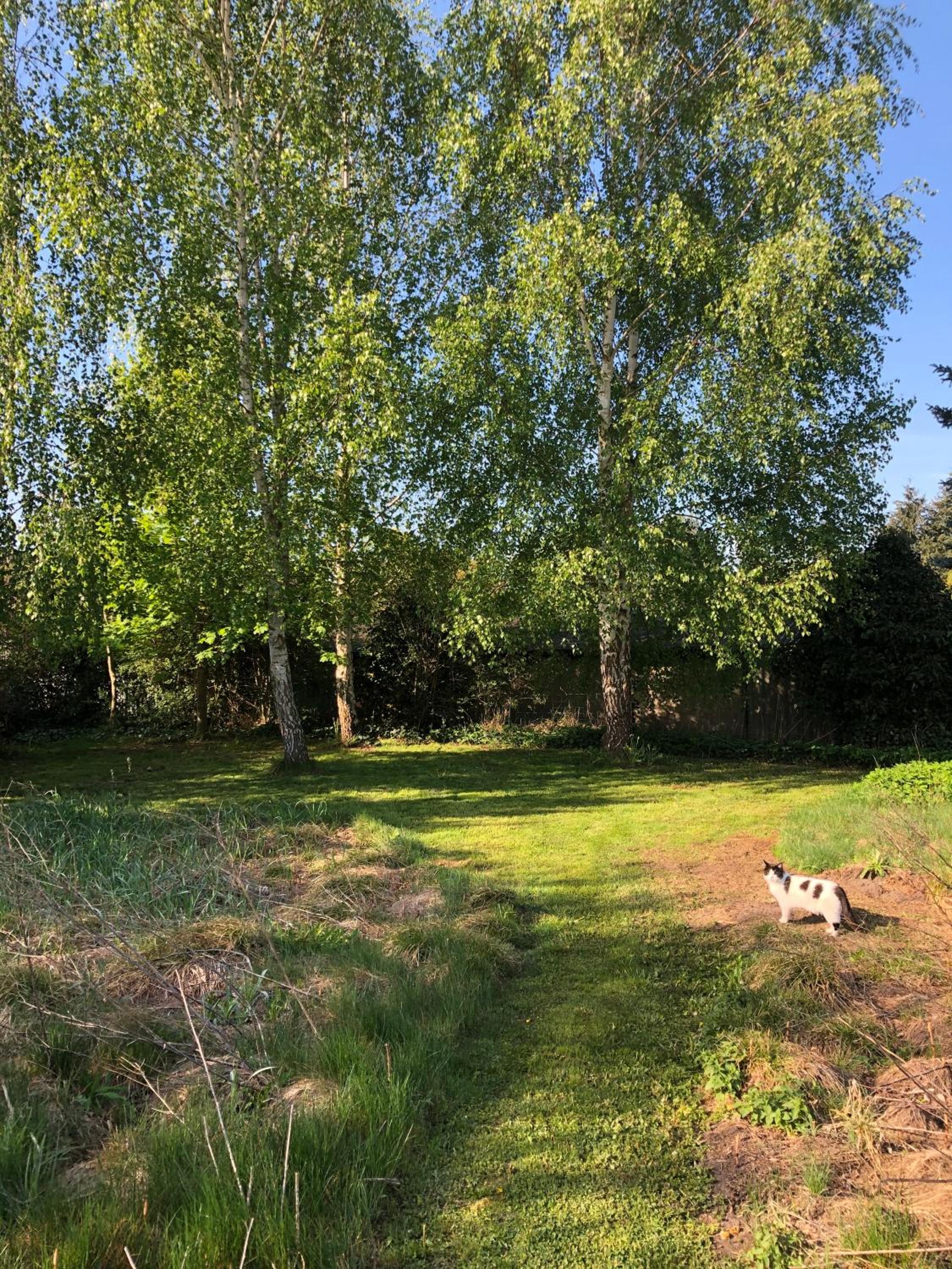 Gartenblick im Schwalbennest