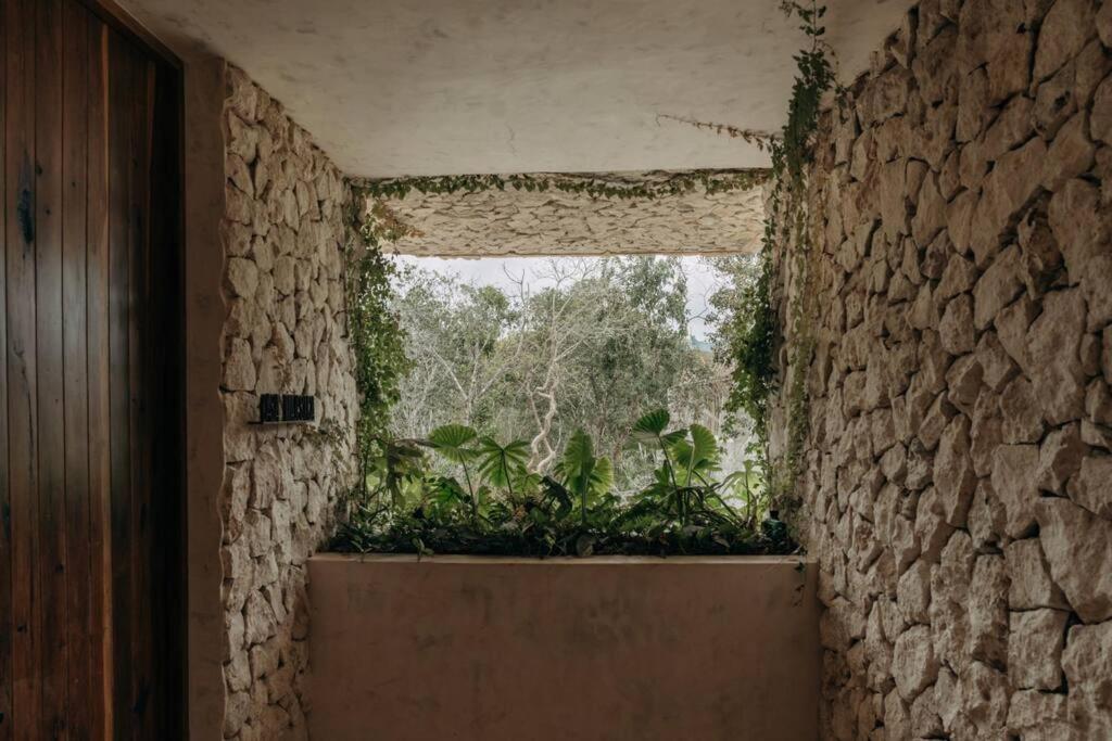 Casa Zebrina Designer Apartment