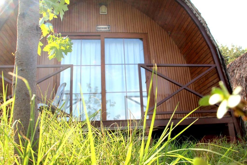 Pinokyo Bungalove