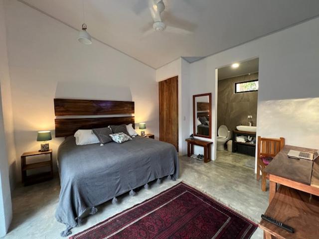 Pochote River house