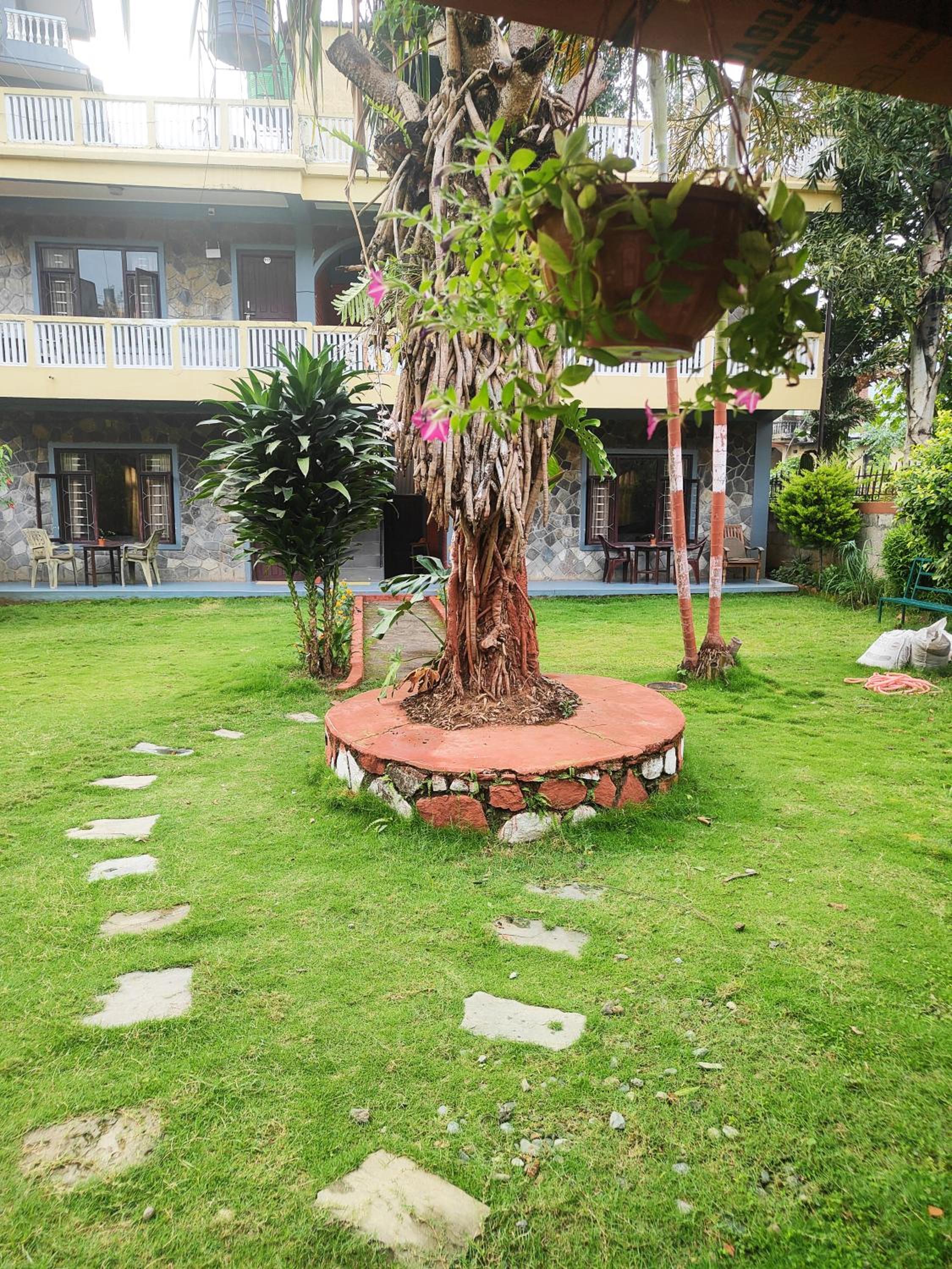 Bodhidham Yoga retreat Ashram view 3