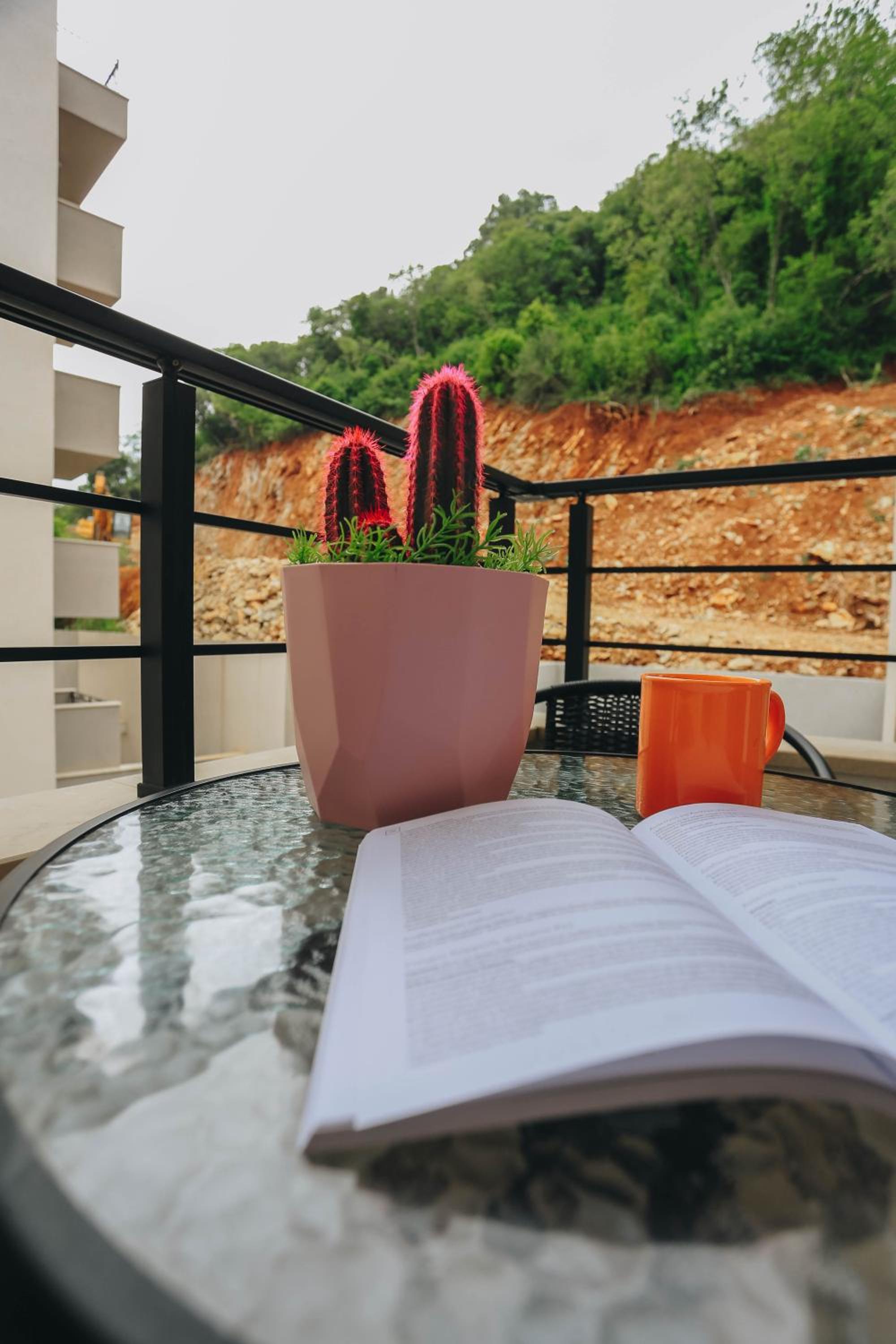 balance & terrace
