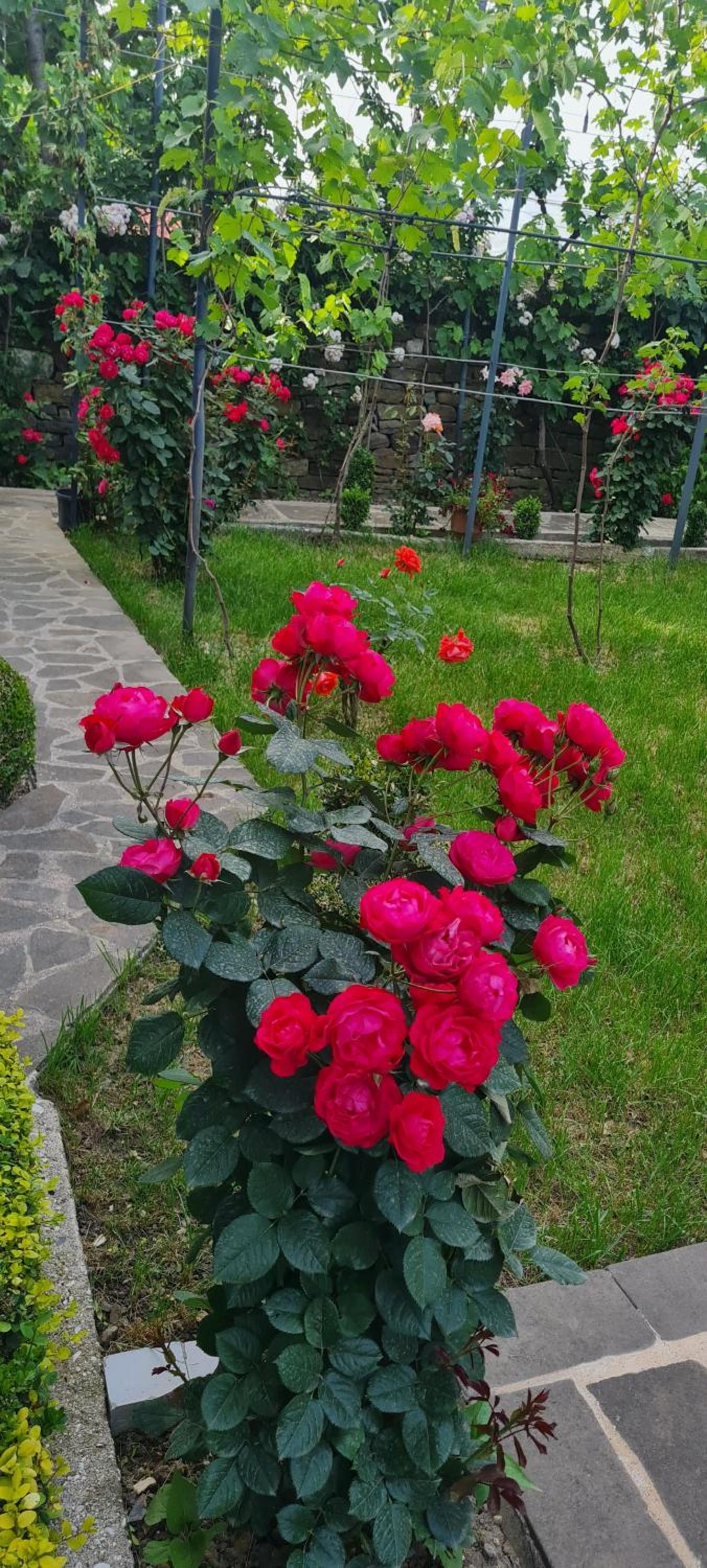 Garden Guest House, photo 38