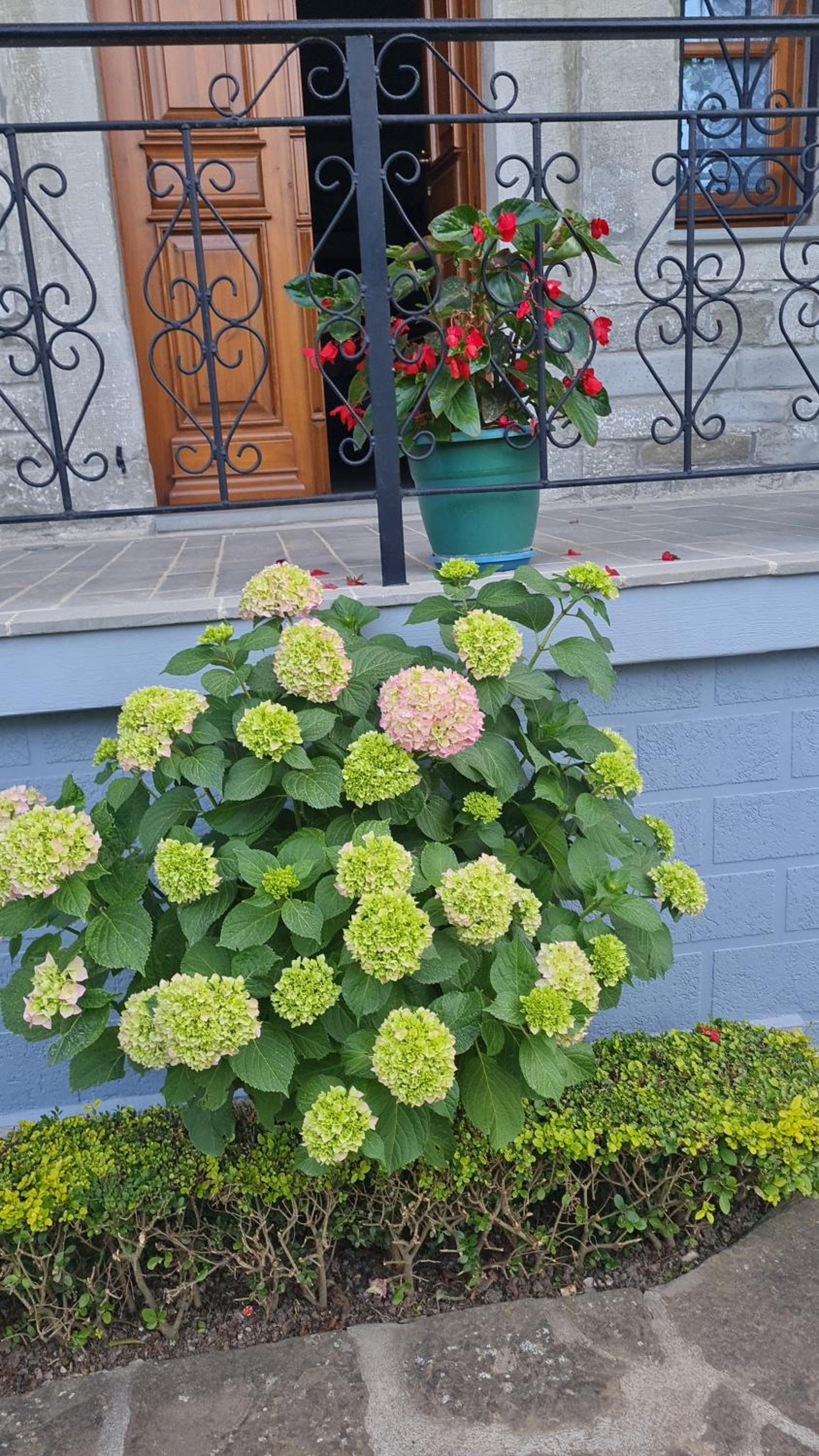 Garden Guest House, photo 57
