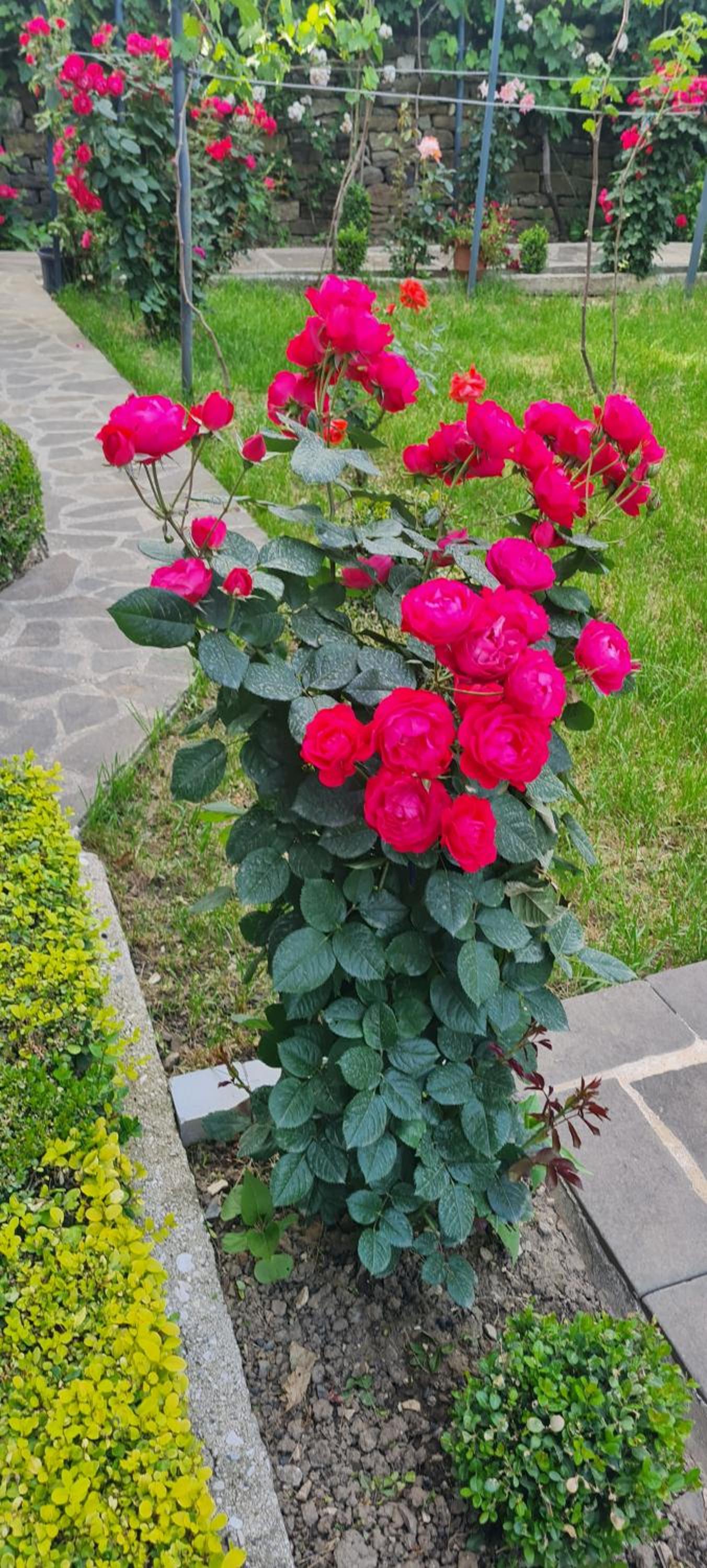 Garden Guest House, photo 25
