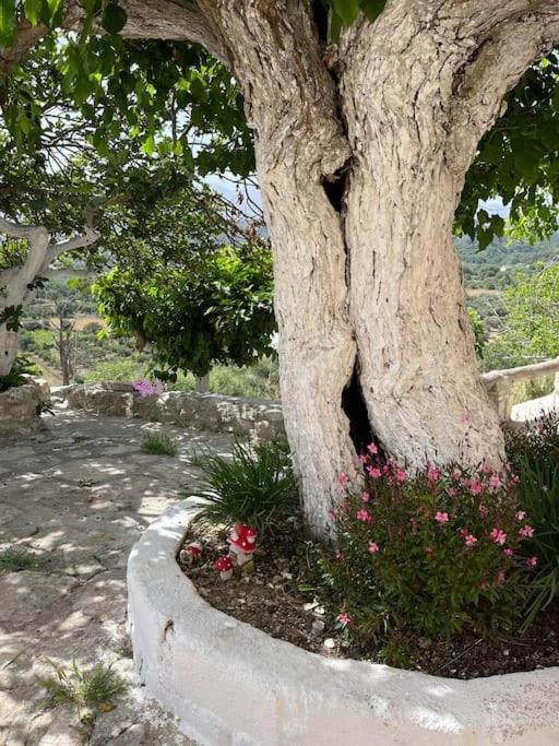 Vrysses Lodge Michael Stelianos