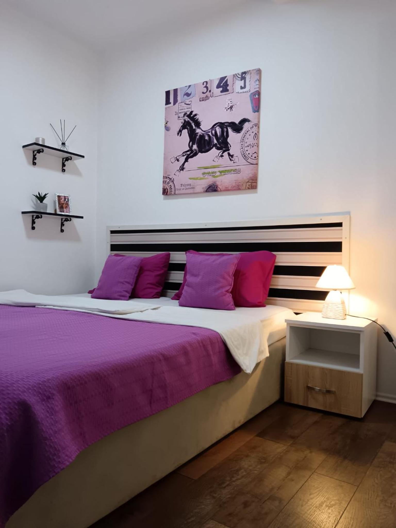 Easy check in Apartments 021 VLADIKA view 2