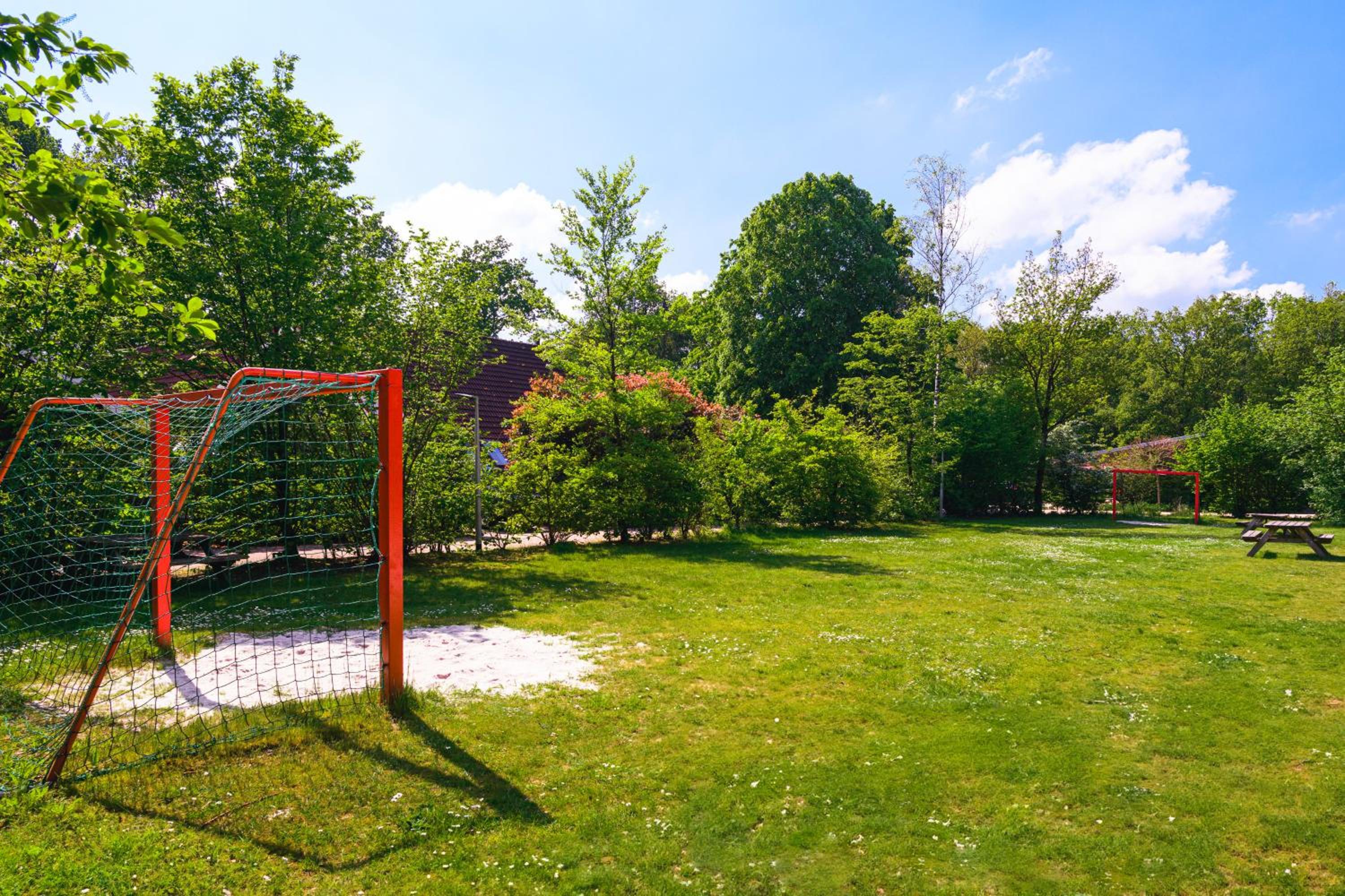 Summio Vakantiepark Het Drentse Wold view 3