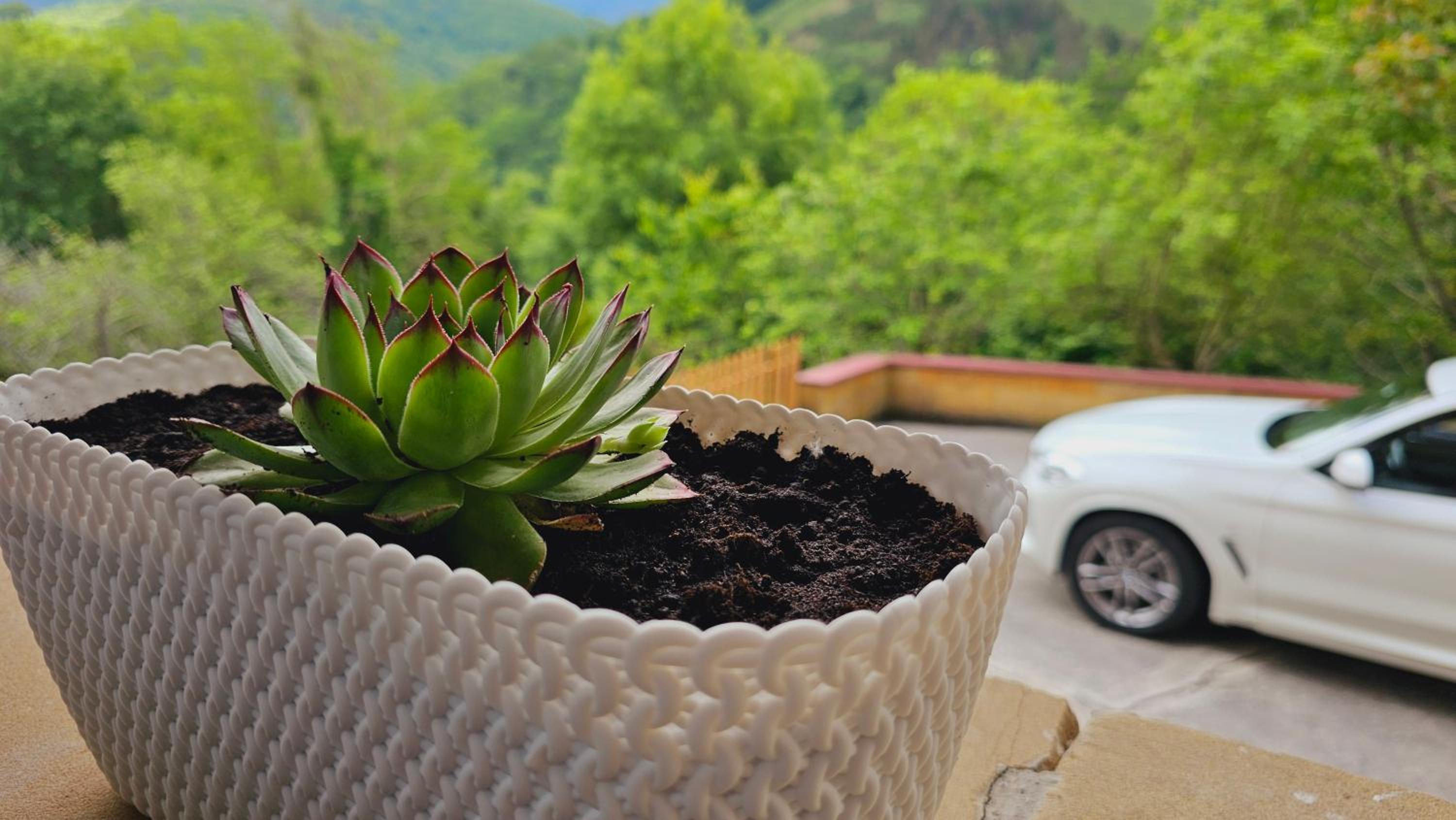 Casa Rural Simonan Borda