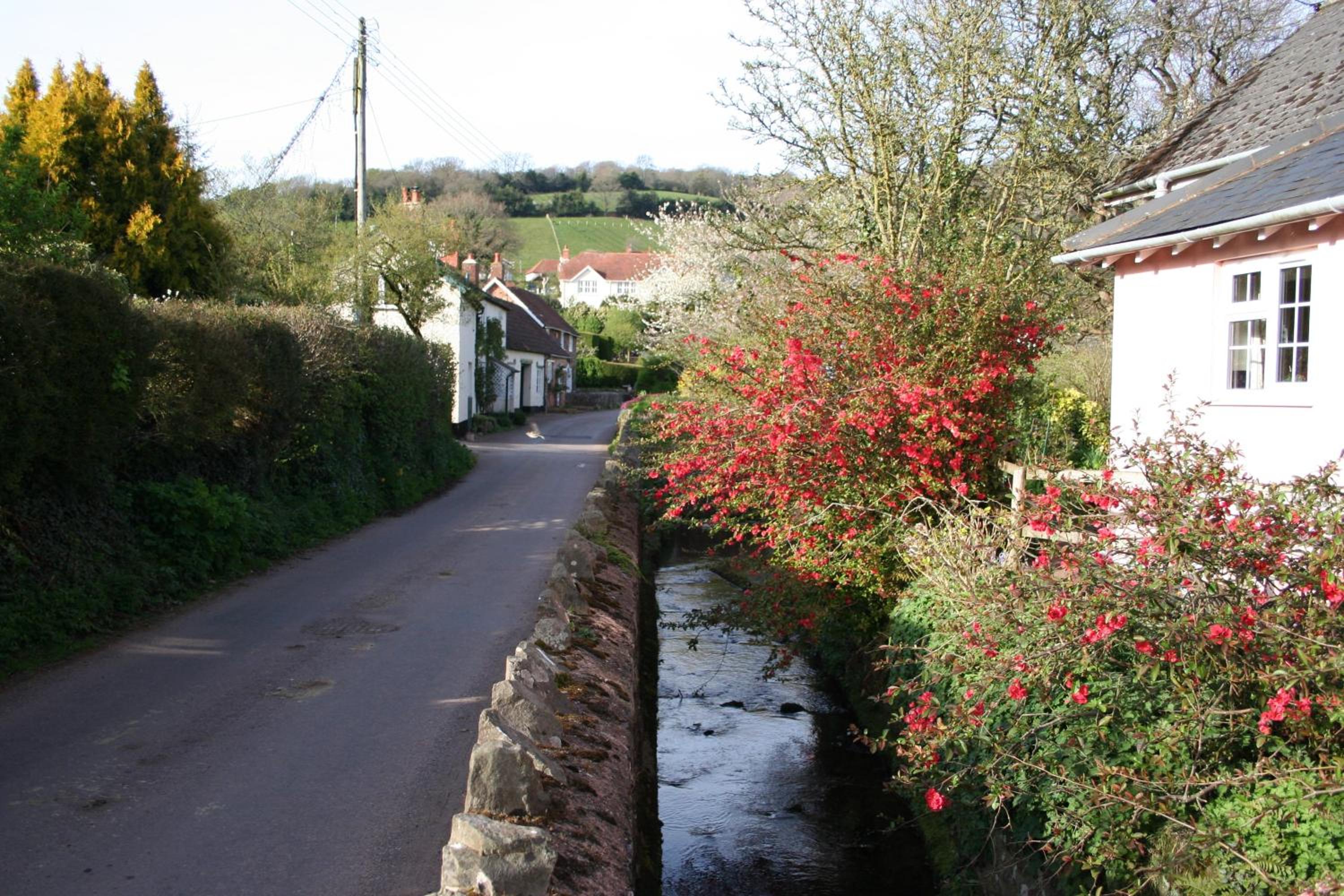 Forge Cottage Wootton Courtenay view 3