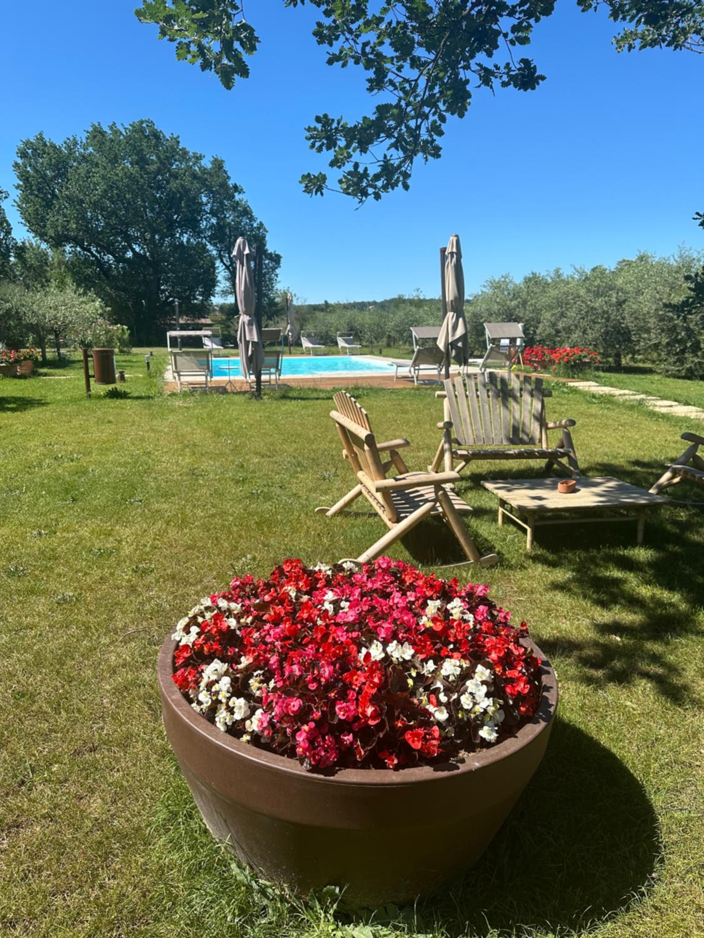 Podere Selvatici
