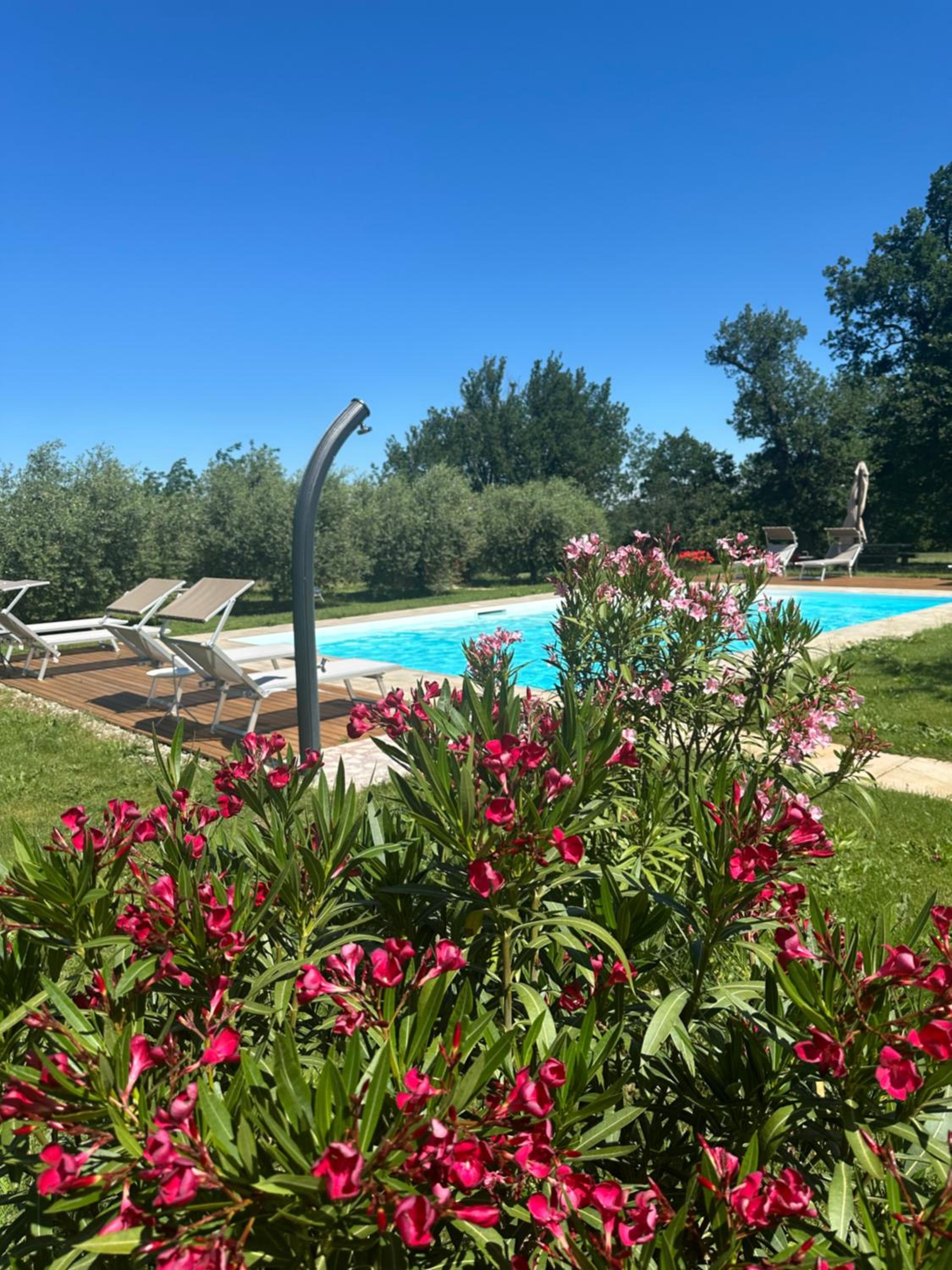 Podere Selvatici