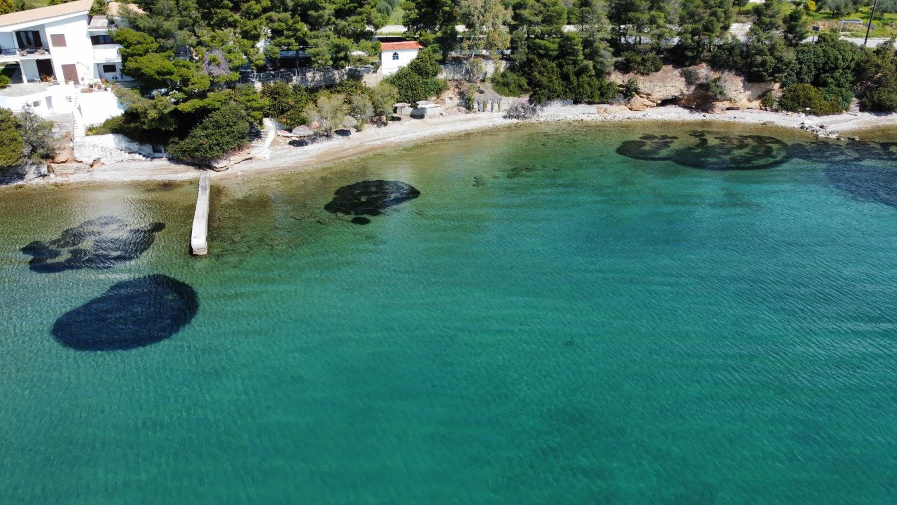 ALIDA Properties