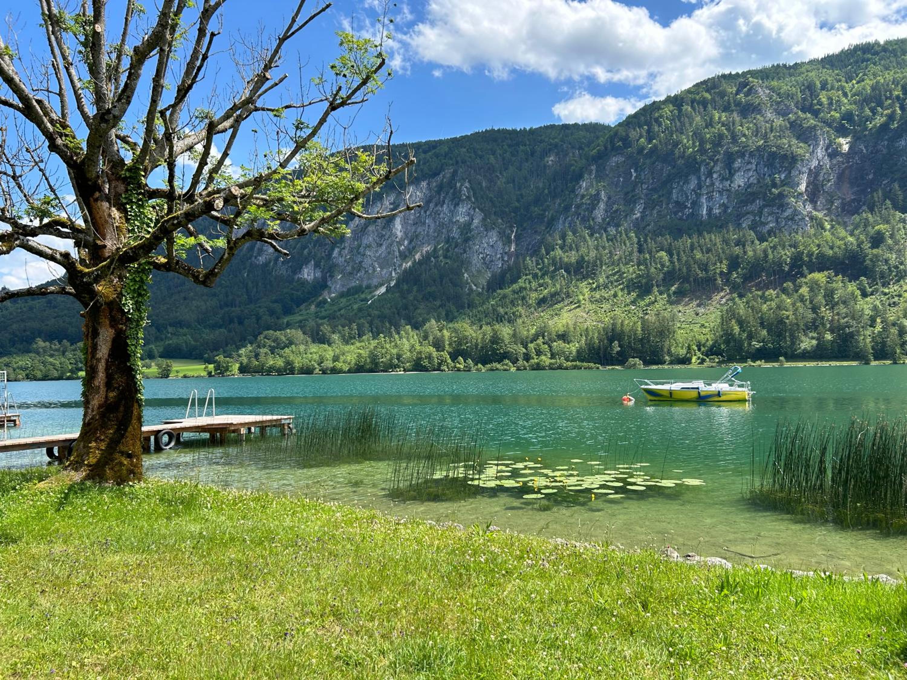 Gasthof Seestern