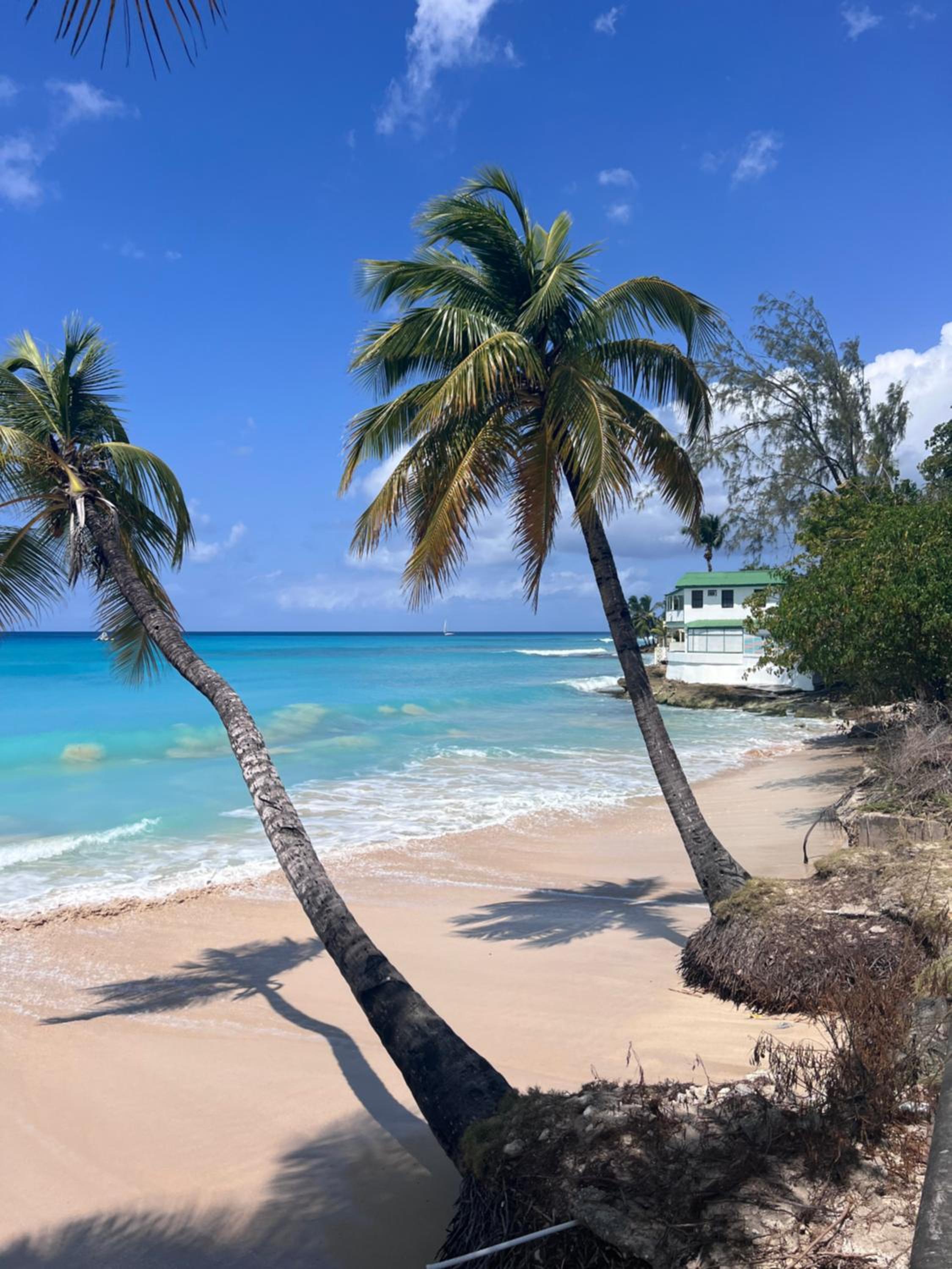 Purple Rain - Direct Seaviews, 2 Bedroom, 2 Bathroom, 3 Terrace Beachfront Bliss