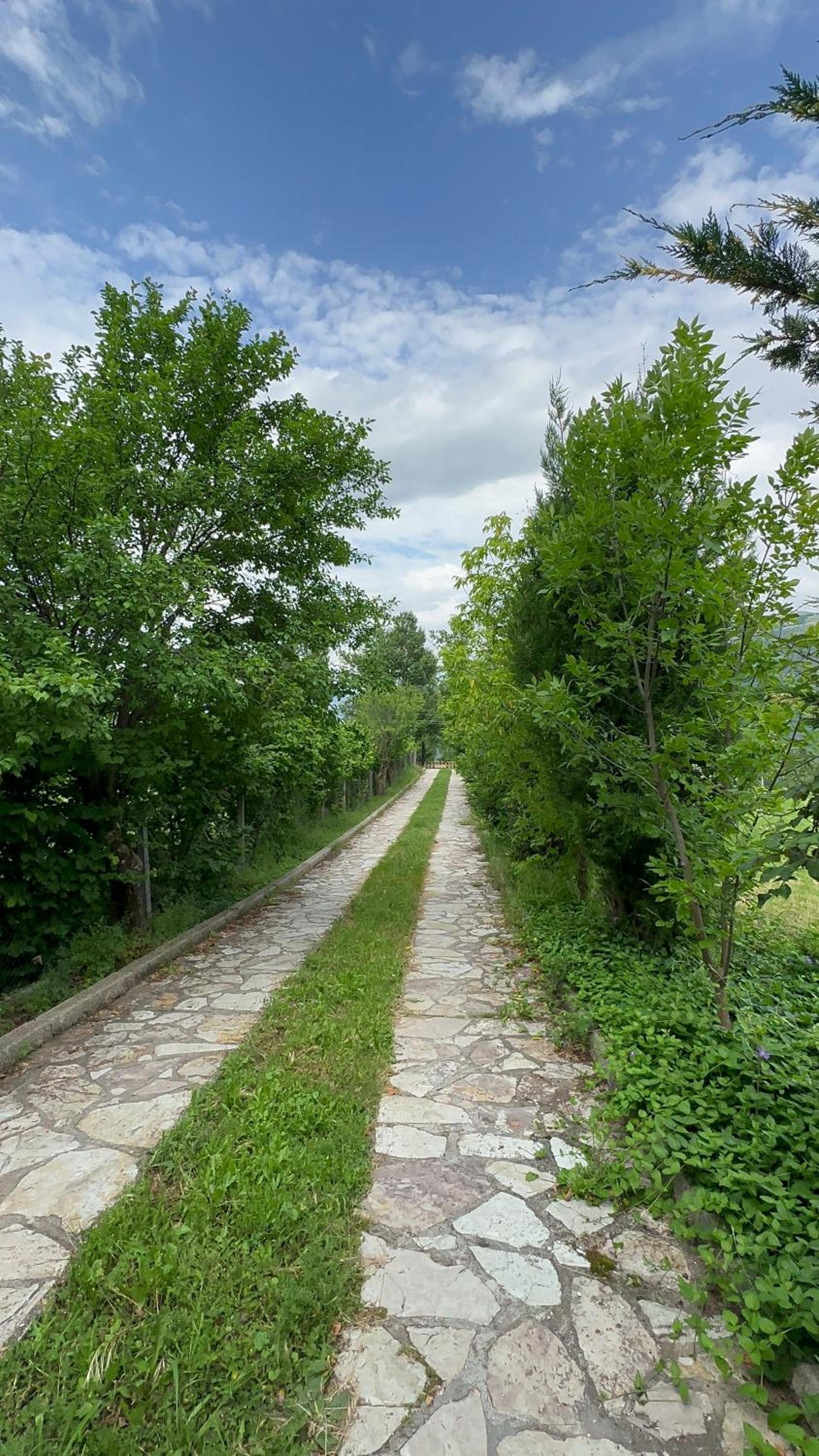 Bujtina Gjana