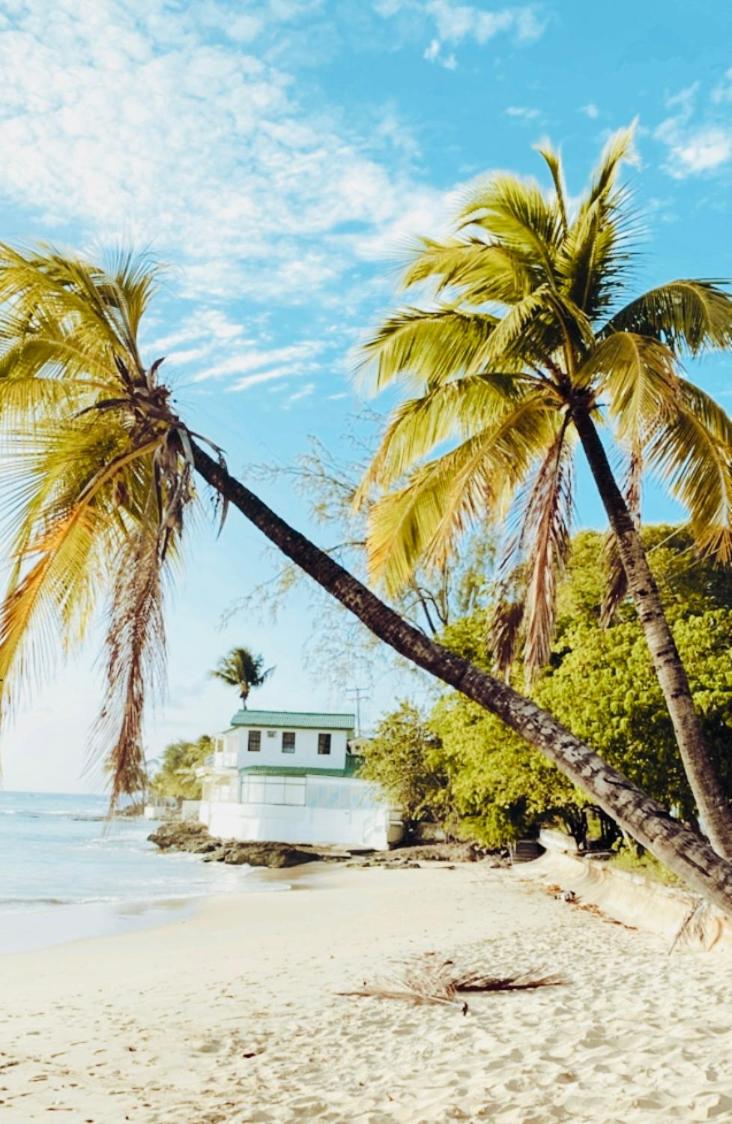 Purple Rain - Direct Seaviews, 2 Bedroom, 2 Bathroom, 3 Terrace Beachfront Bliss