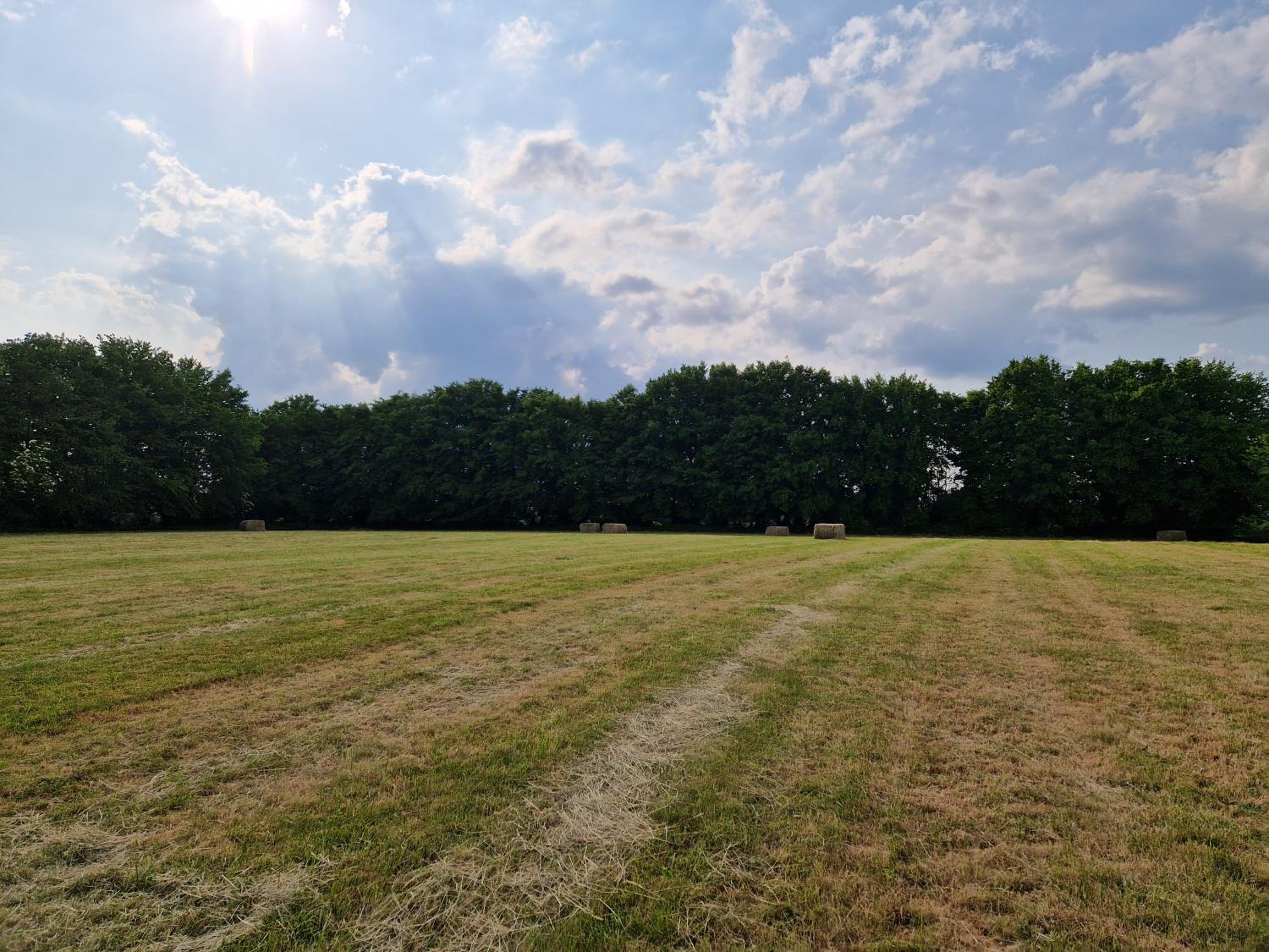 Habitat