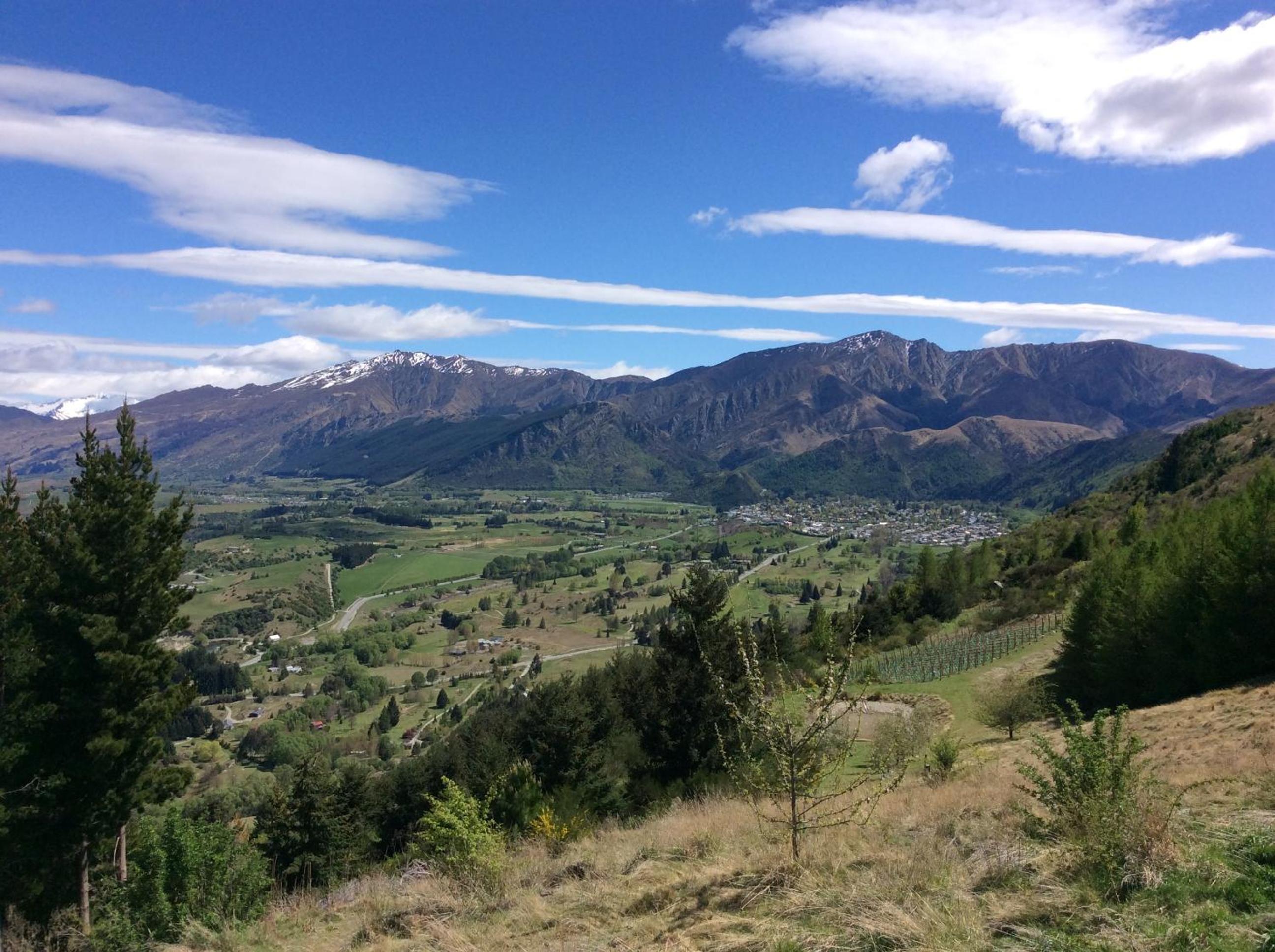 Photo 23