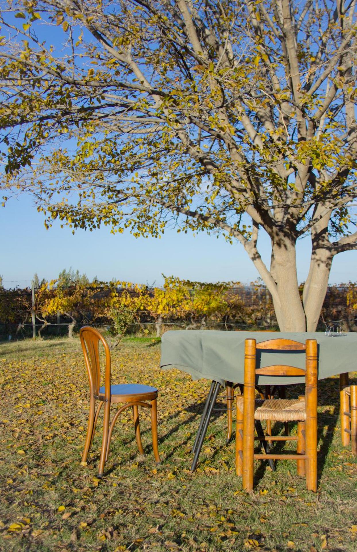 Finca La Pichona