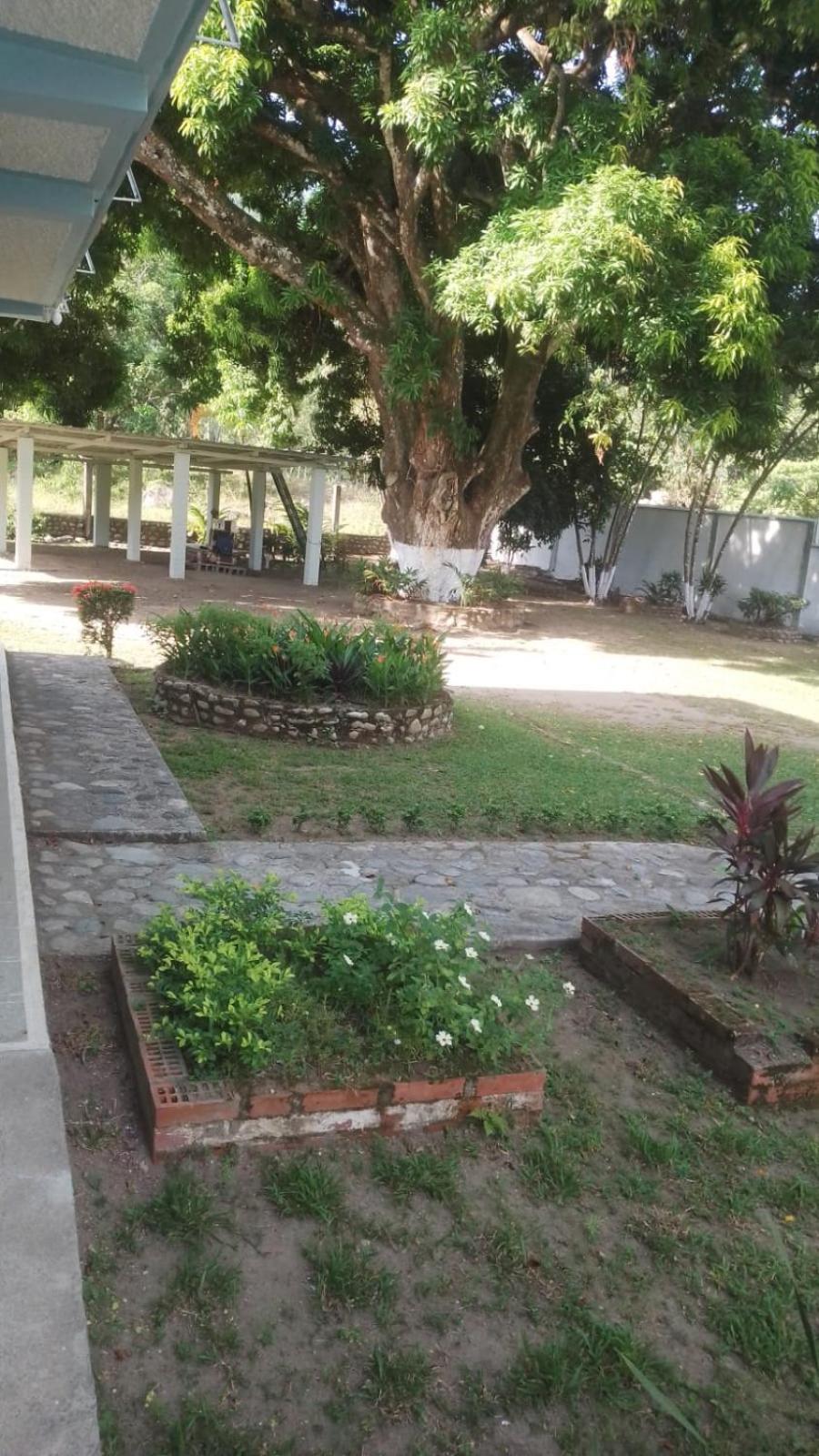 Photo 26