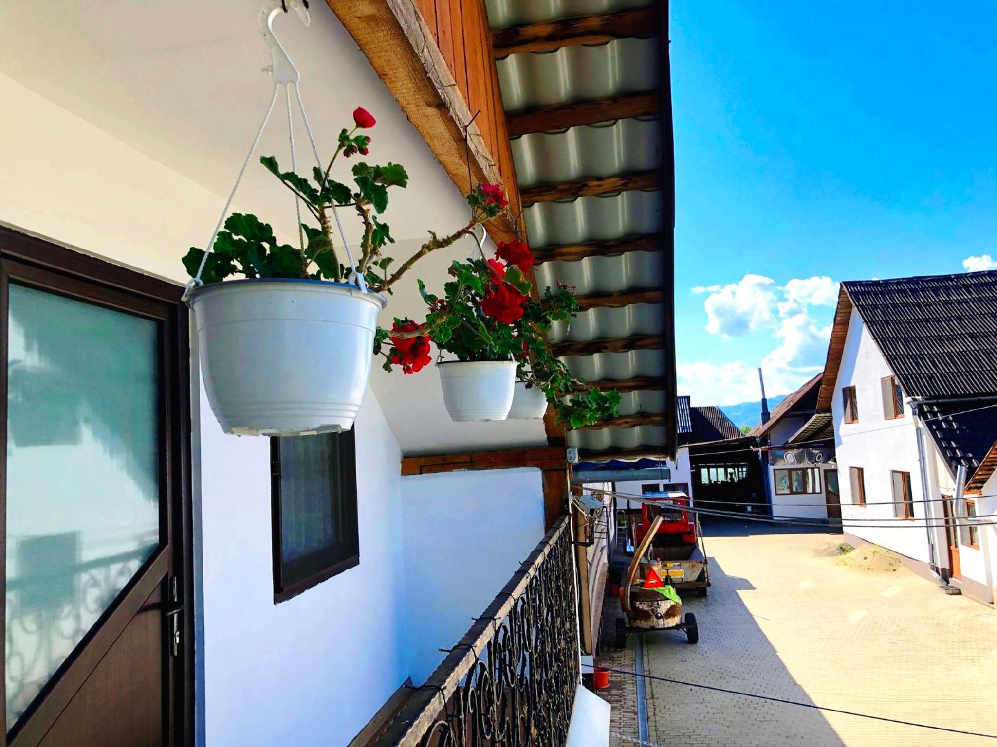 Casa Paul view 3