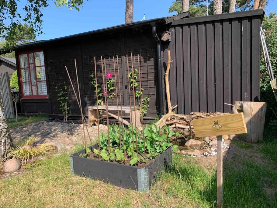 Kullahalvön nära Jonstorps hamn