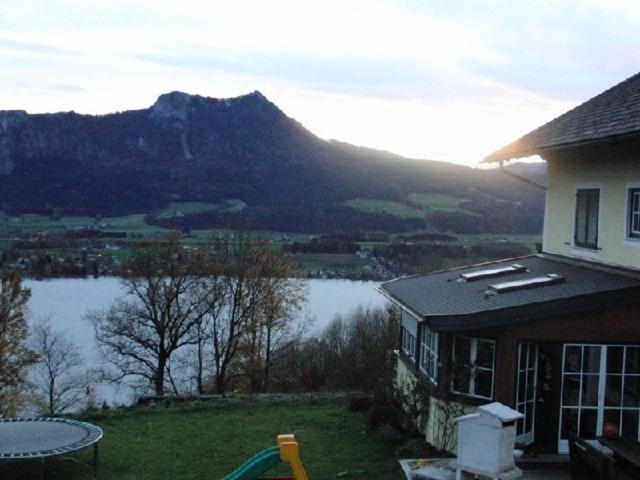 Photo 24