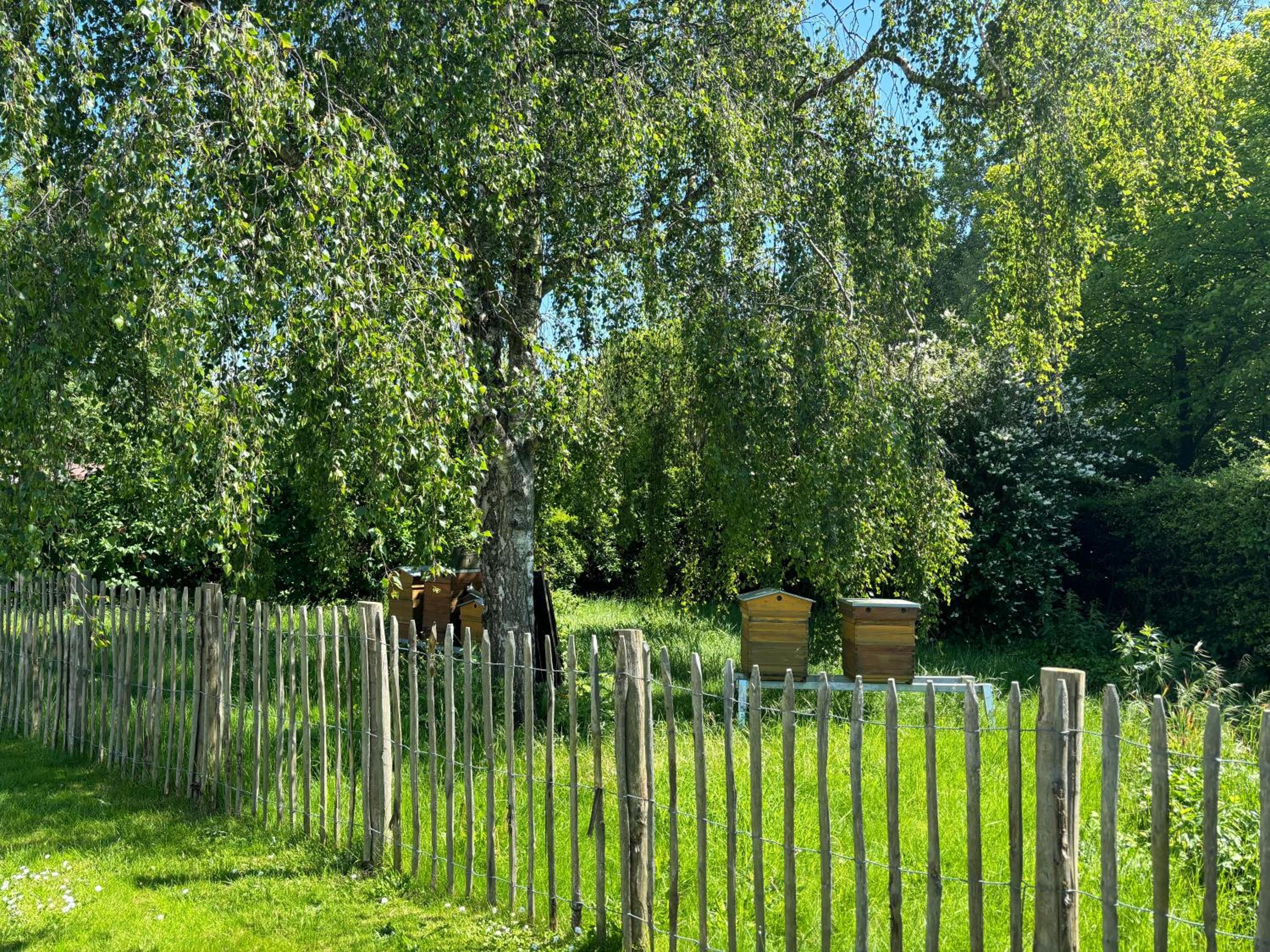 Villa T'SCHELPJE