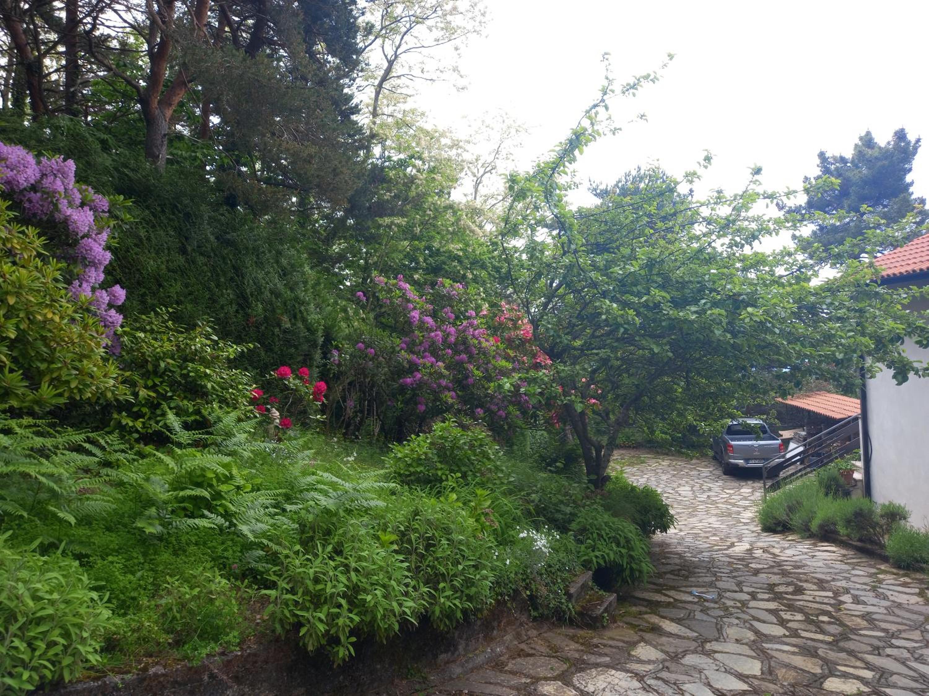 B&B Le Camelie del Bosco