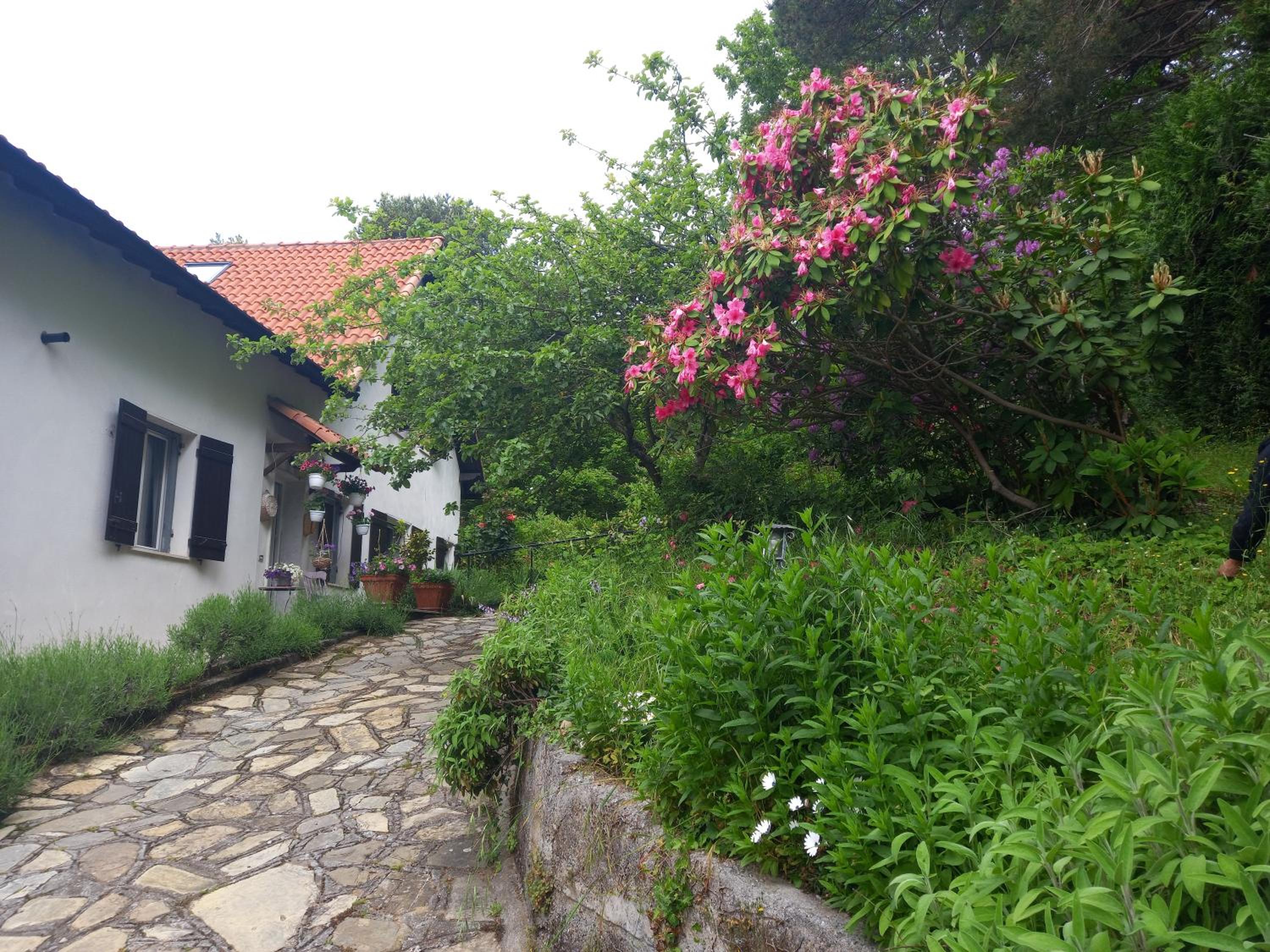 B&B Le Camelie del Bosco