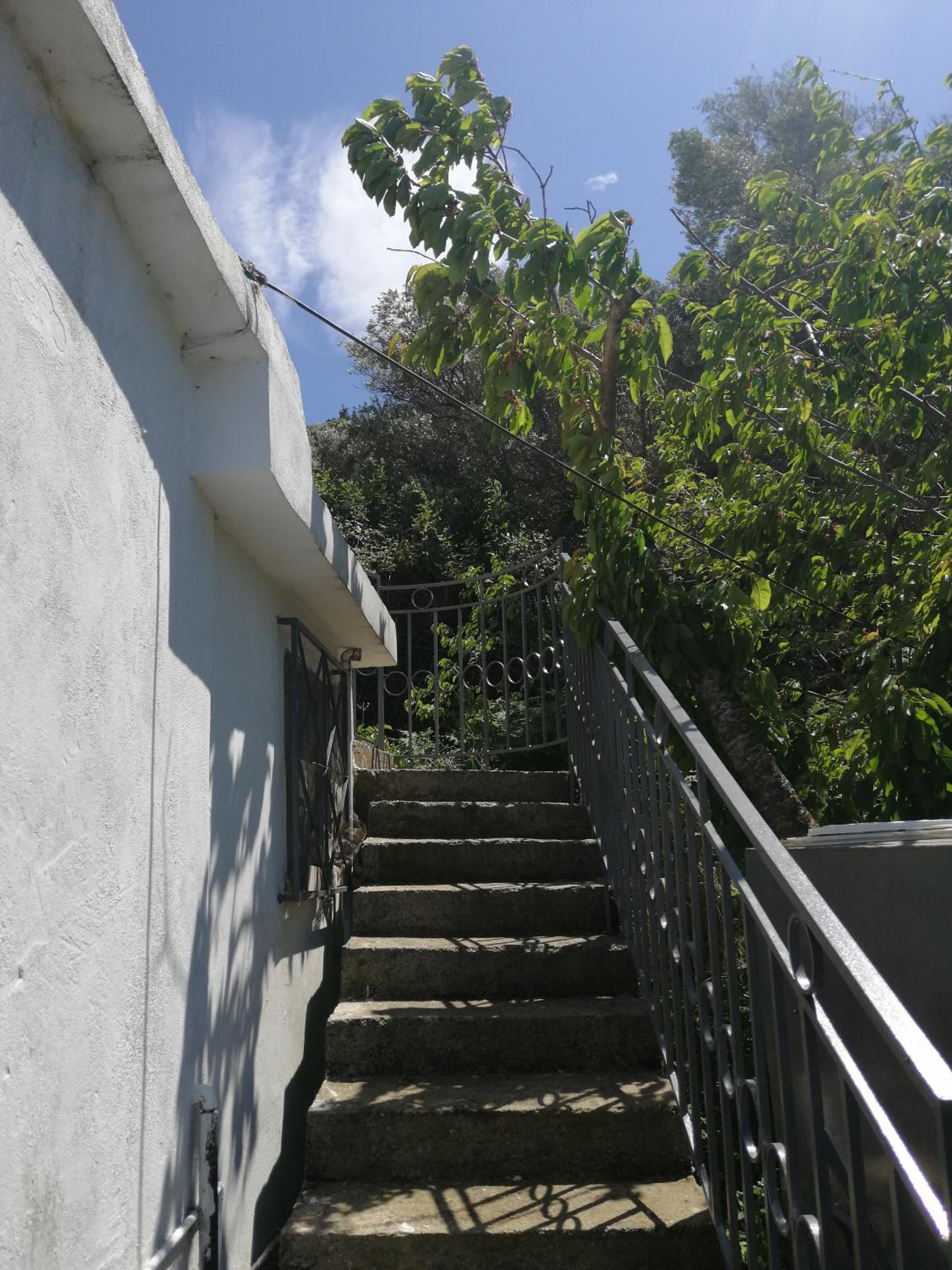 Sofia Garden House view 5