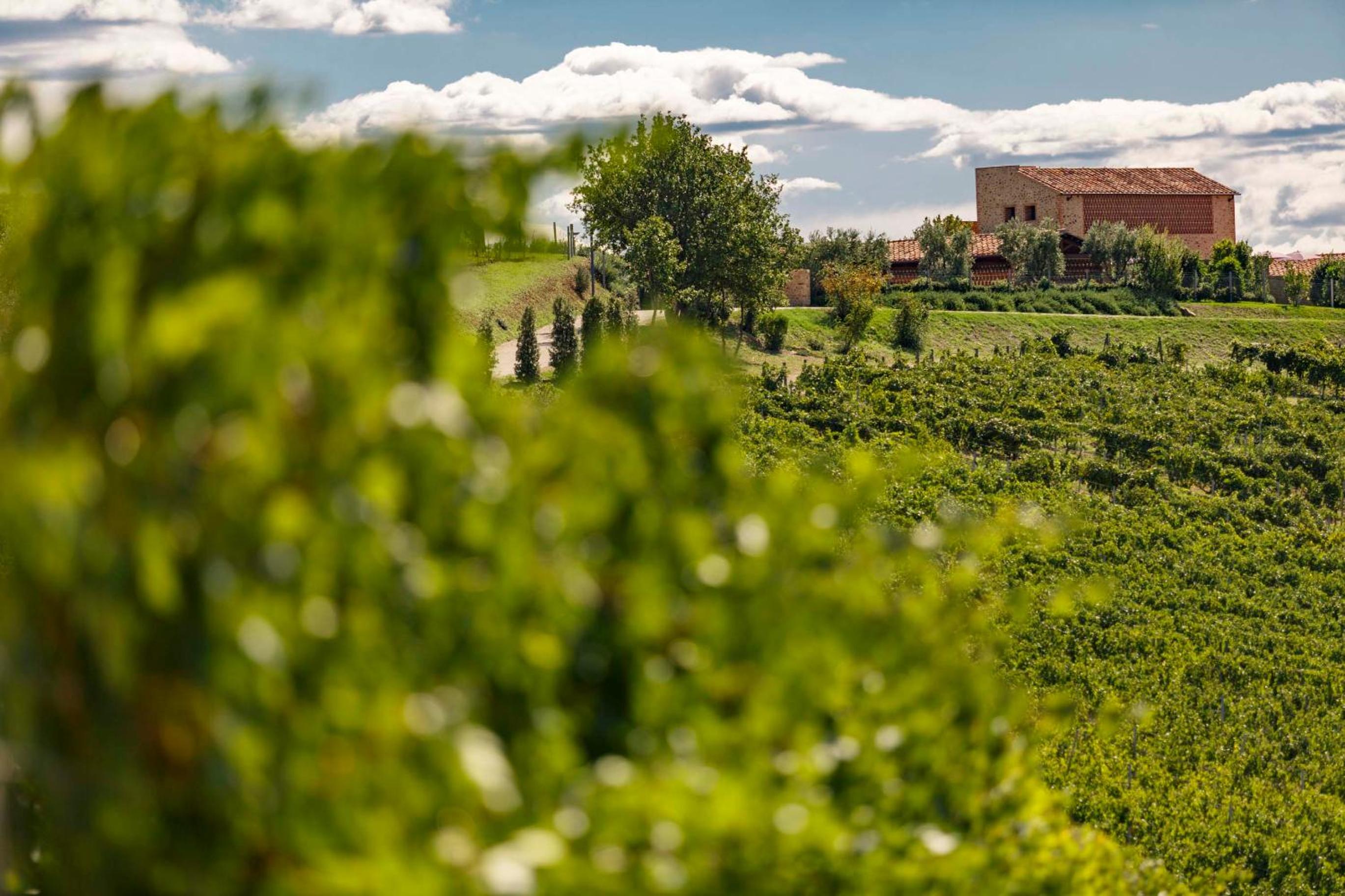 Wine Relais In Montecucco - ColleMassari Hospitality