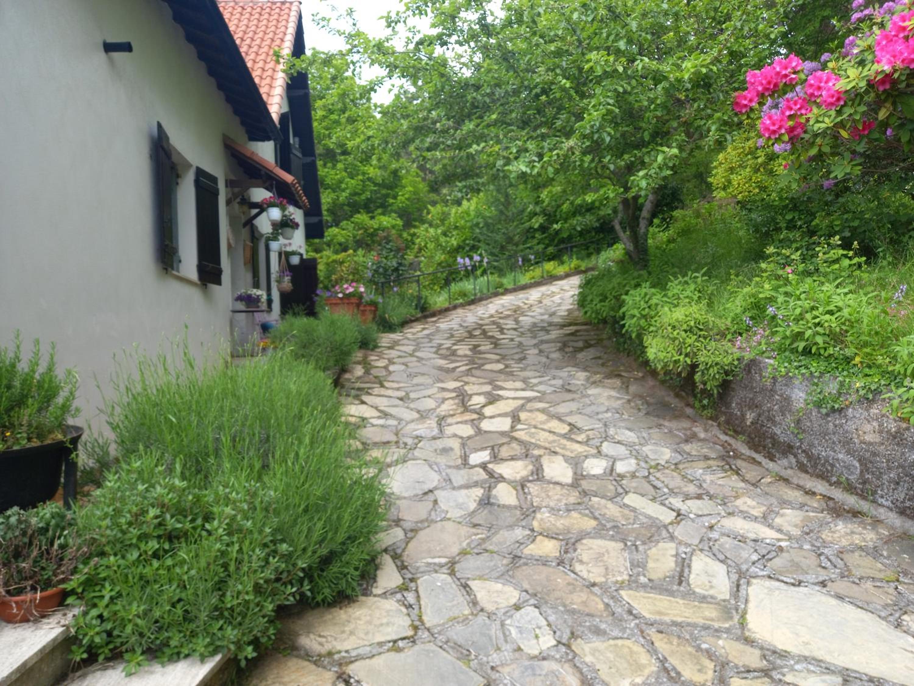 B&B Le Camelie del Bosco